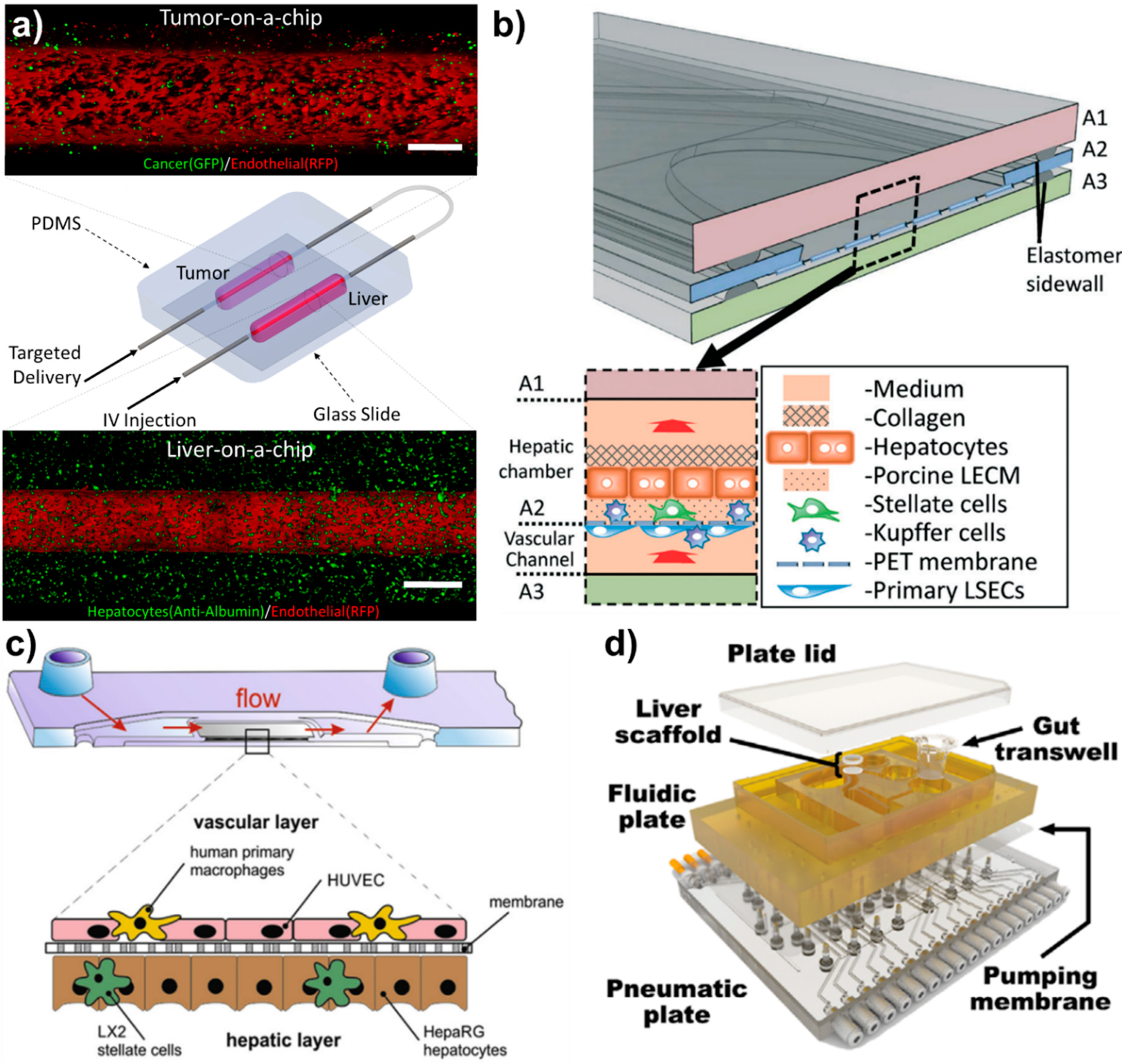 Micromachines 11 00487 g002