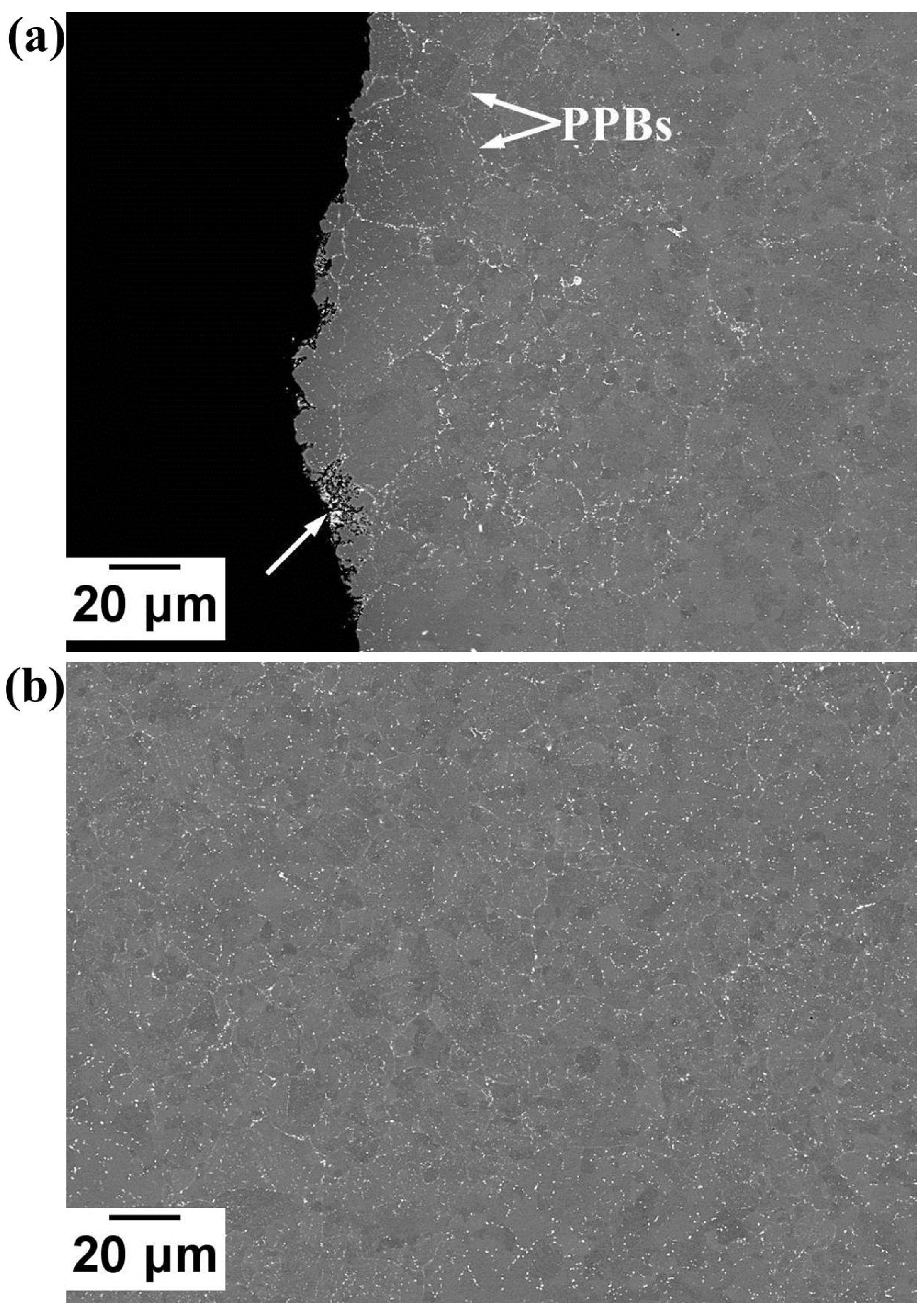 Micromachines 11 00492 g017