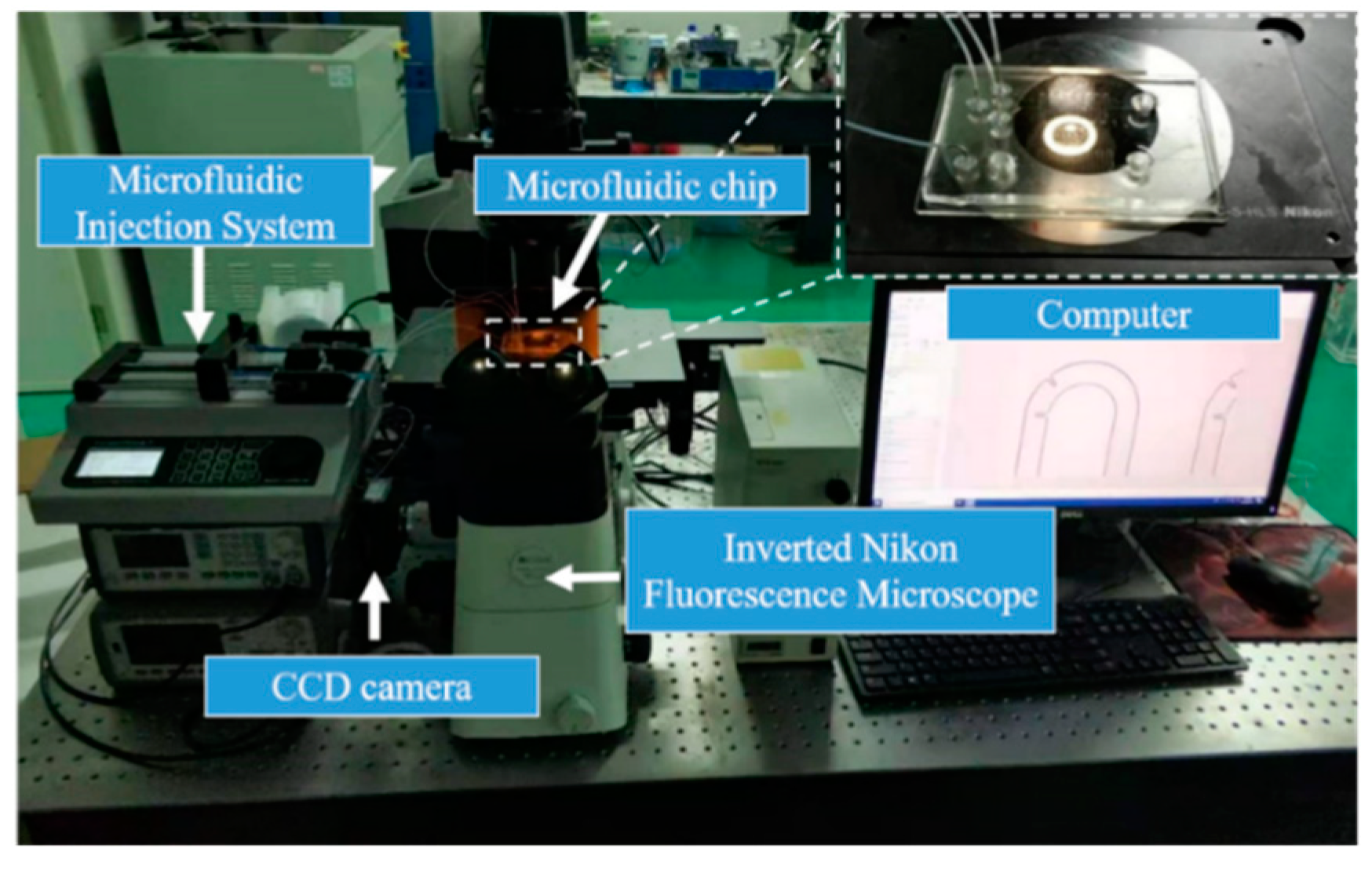 Micromachines 11 00503 g005