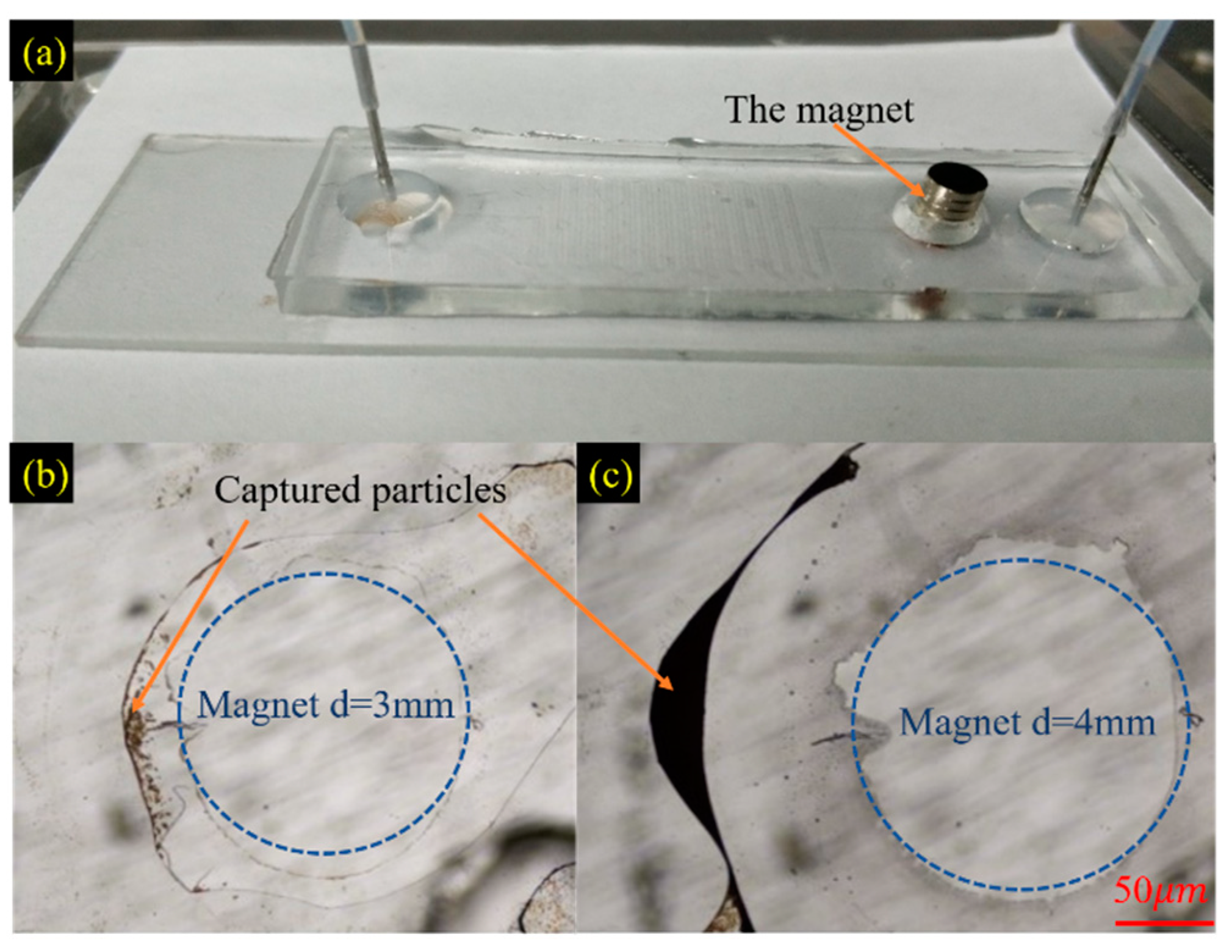 Micromachines 11 00503 g006
