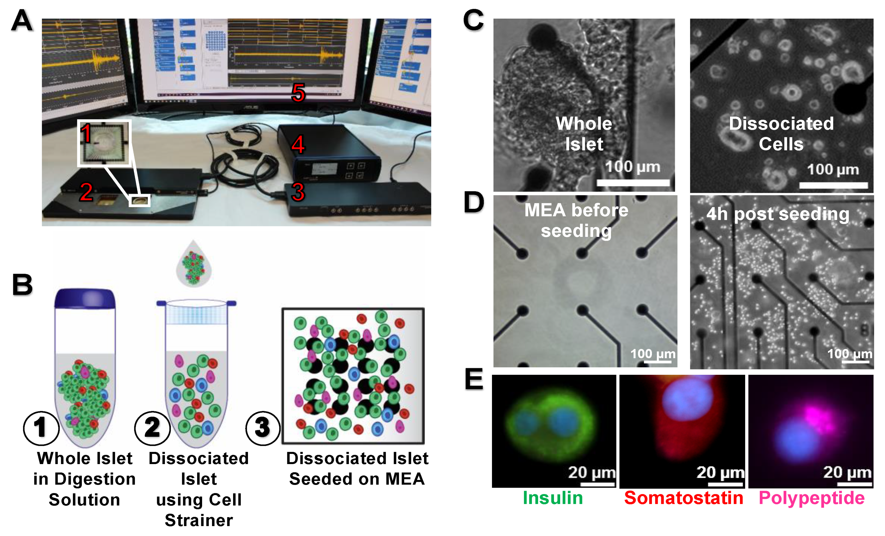 Micromachines 11 00507 g001