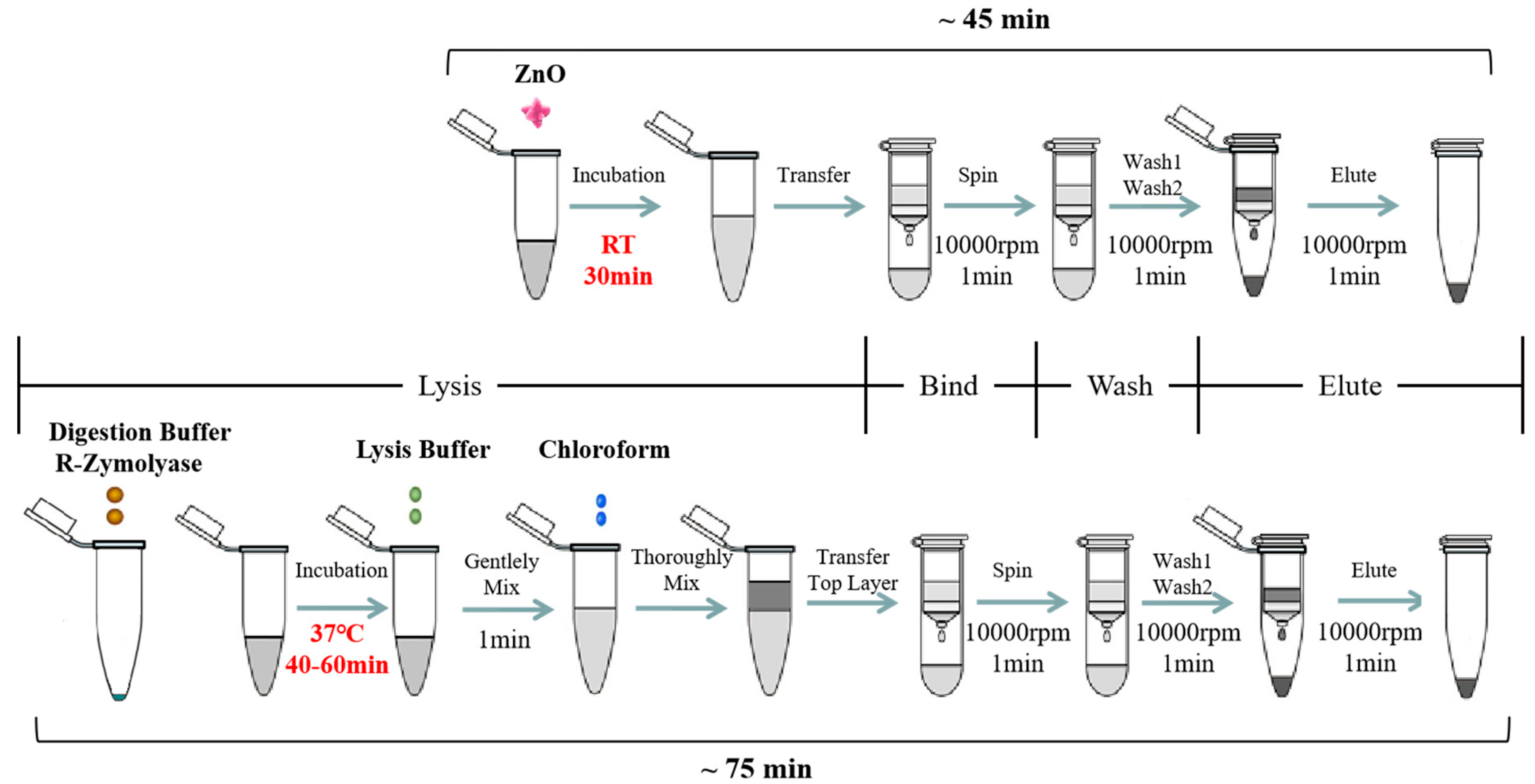 Micromachines 11 00515 g001