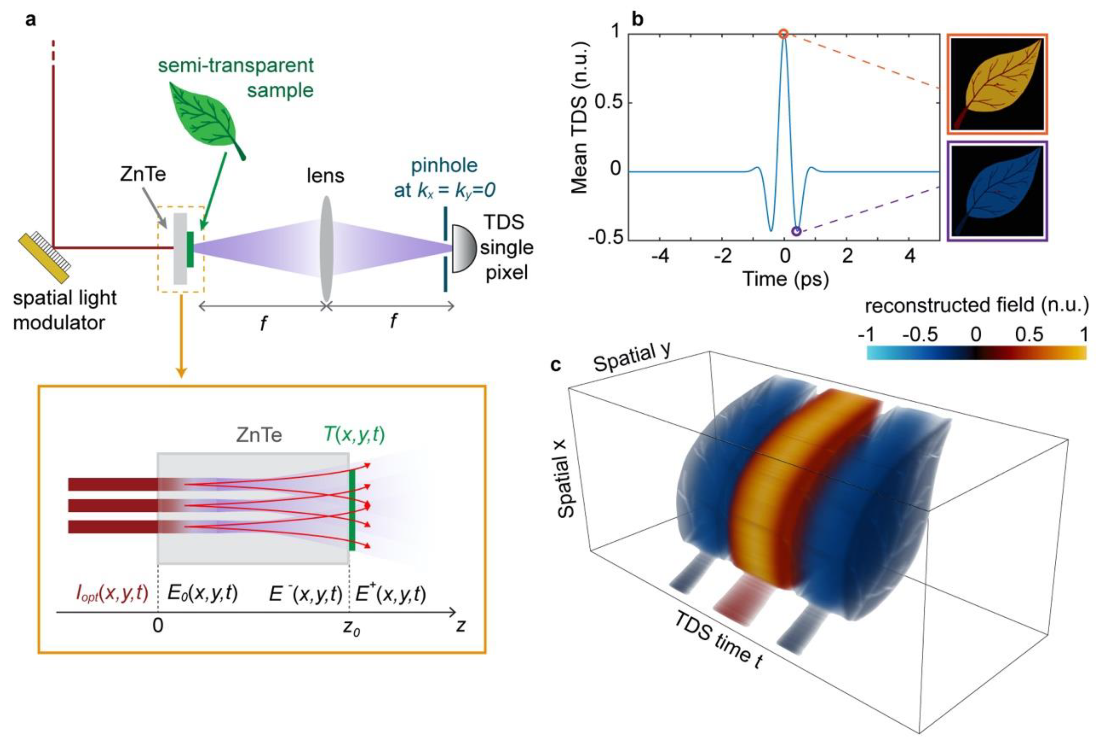 Micromachines 11 00521 g001