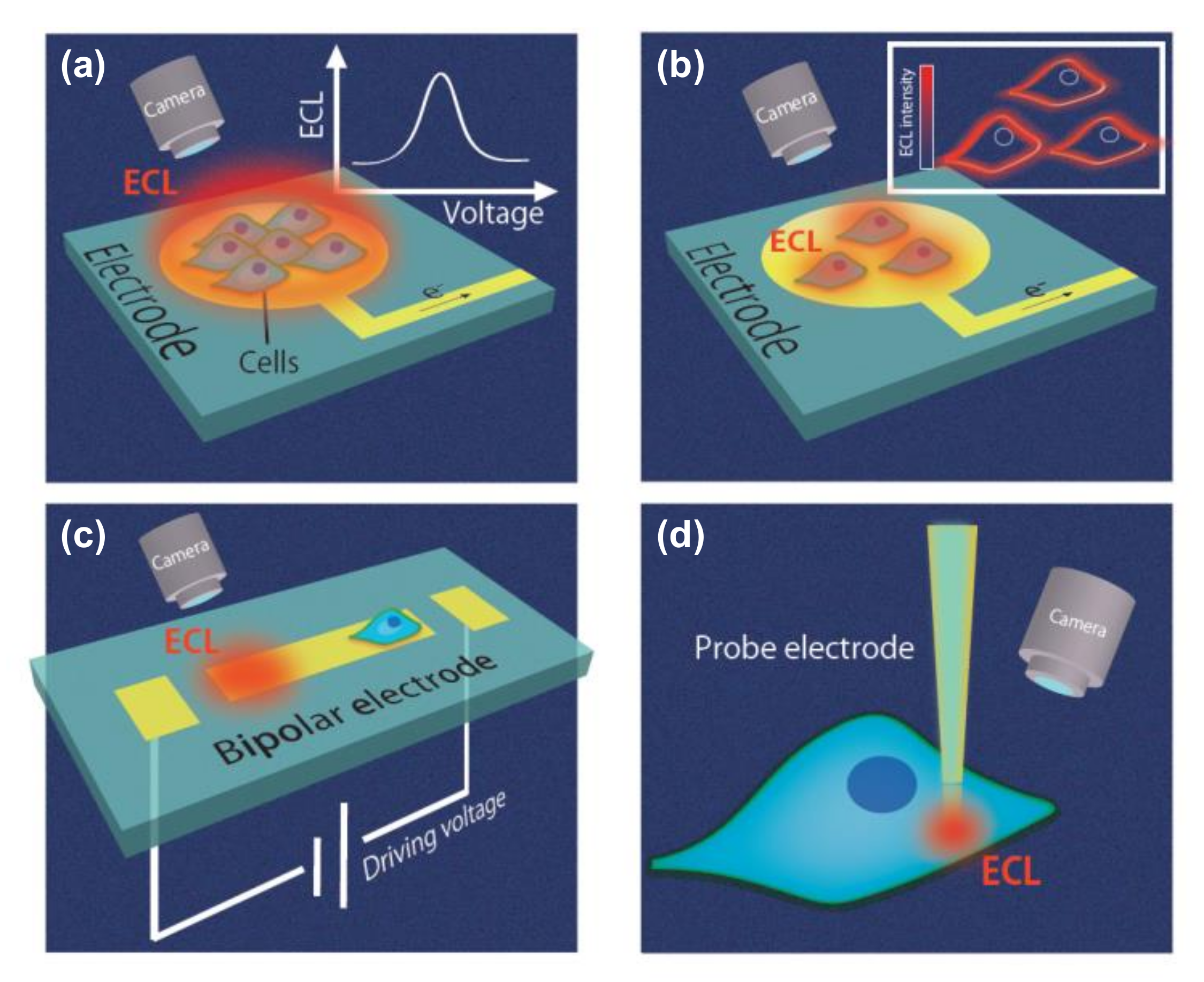 Micromachines 11 00530 g001