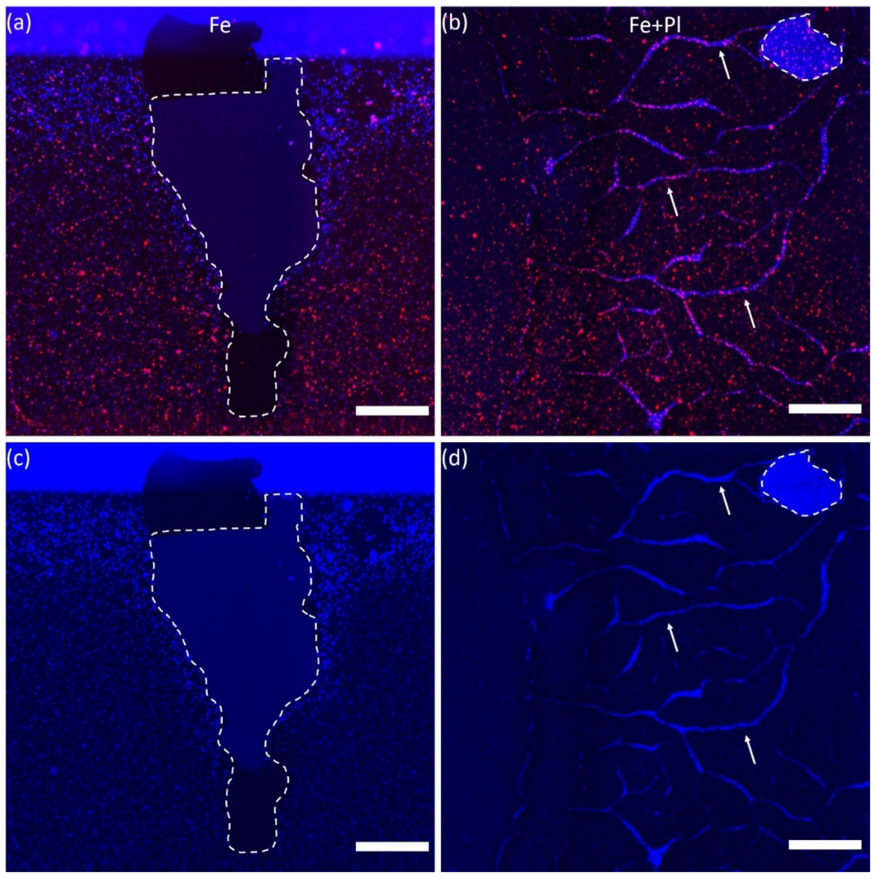Micromachines 11 00546 g002 Micromachines 11 00546 g002
