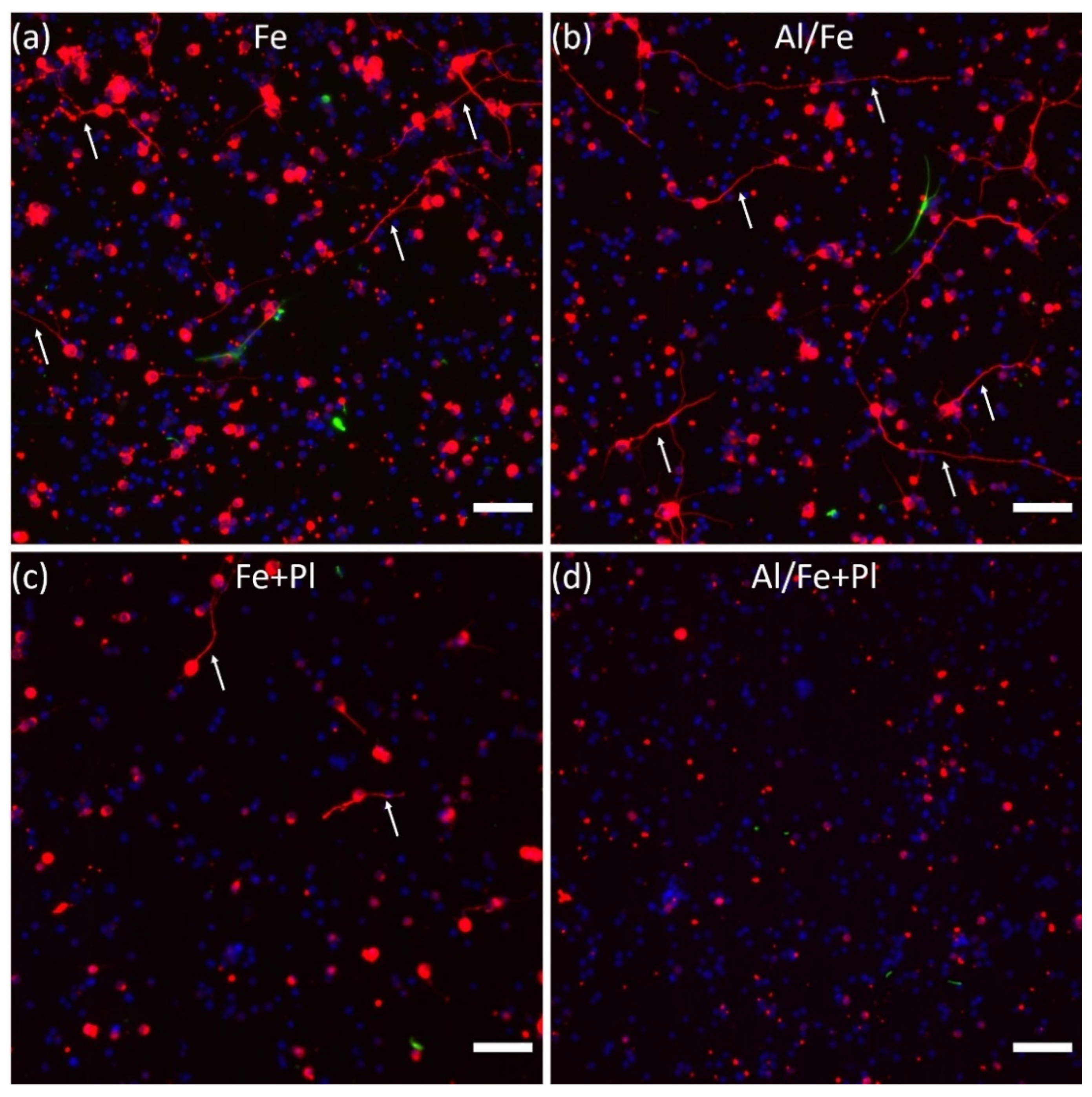 Micromachines 11 00546 g004 Micromachines 11 00546 g004