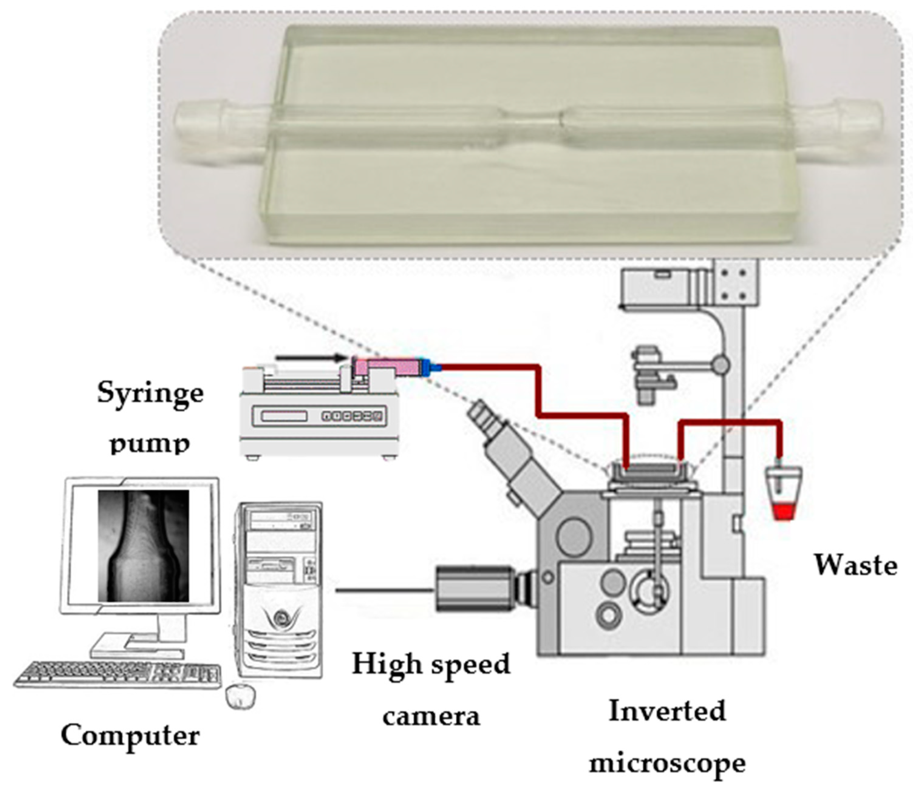 Micromachines 11 00549 g003