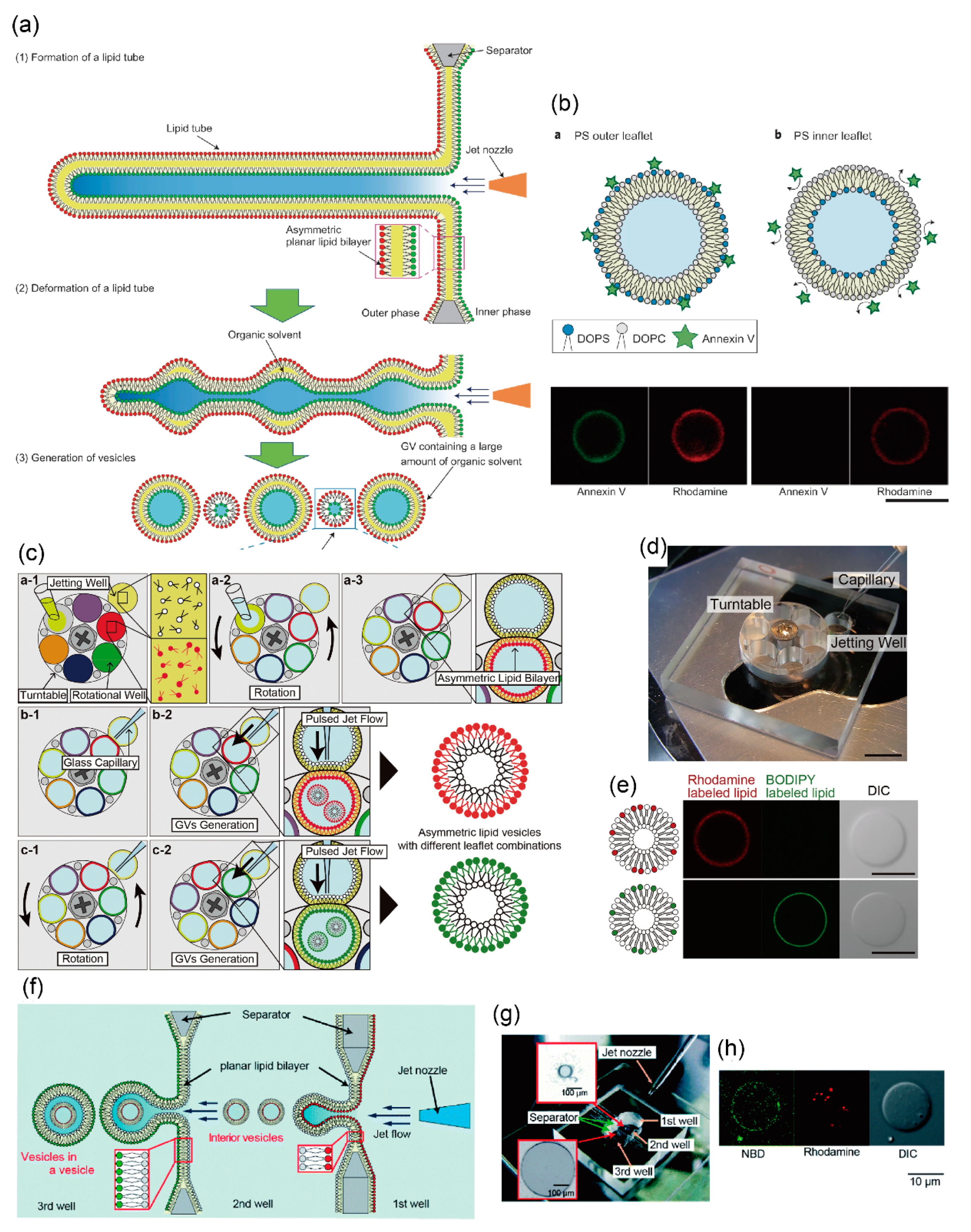 Micromachines 11 00559 g002