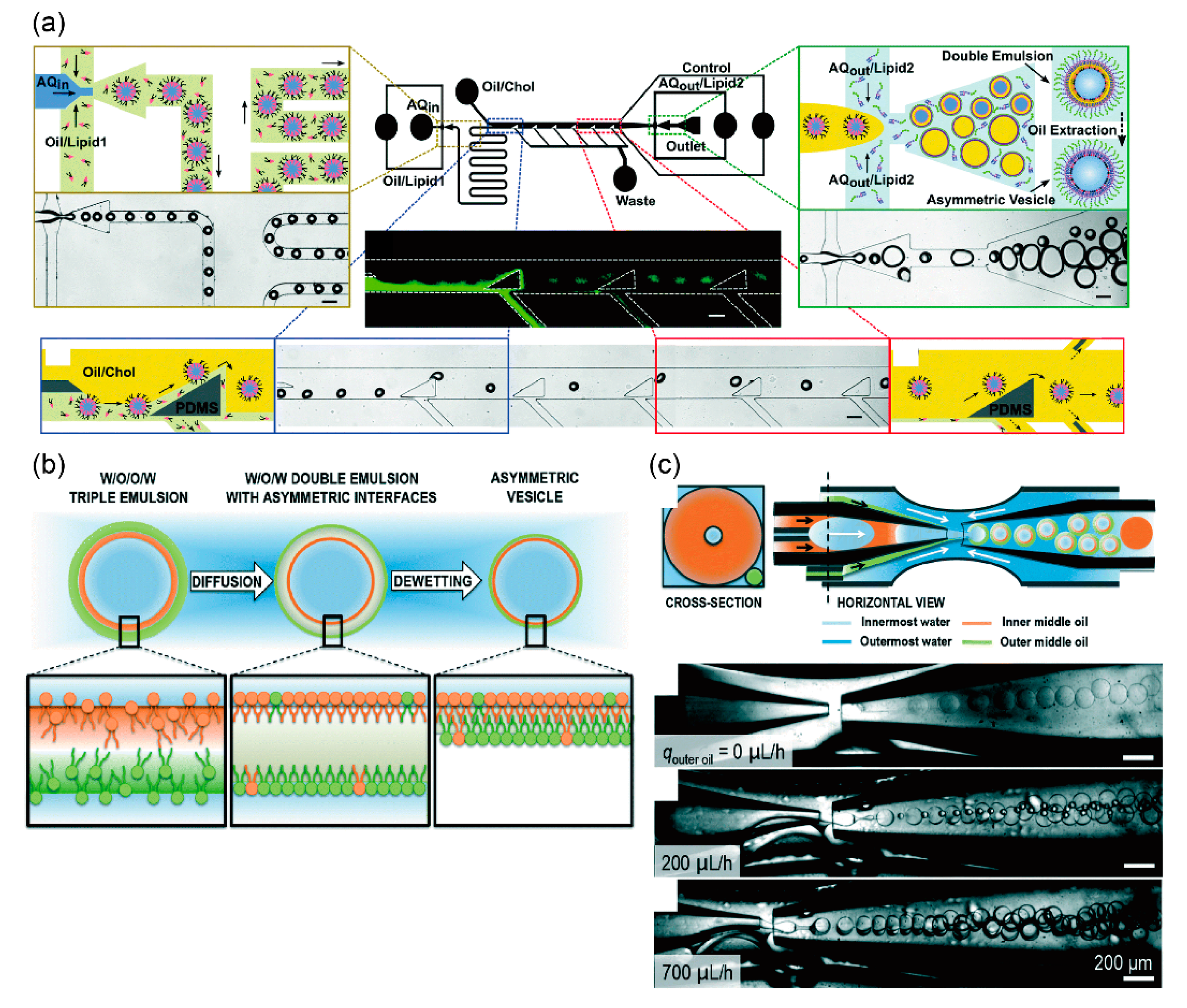 Micromachines 11 00559 g003