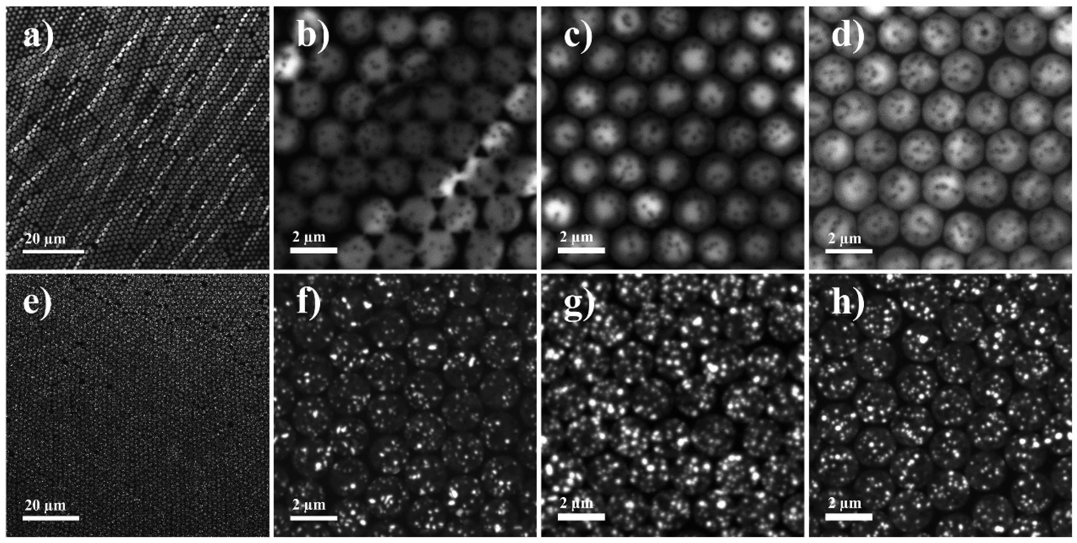 Micromachines 11 00572 g006 Micromachines 11 00572 g006