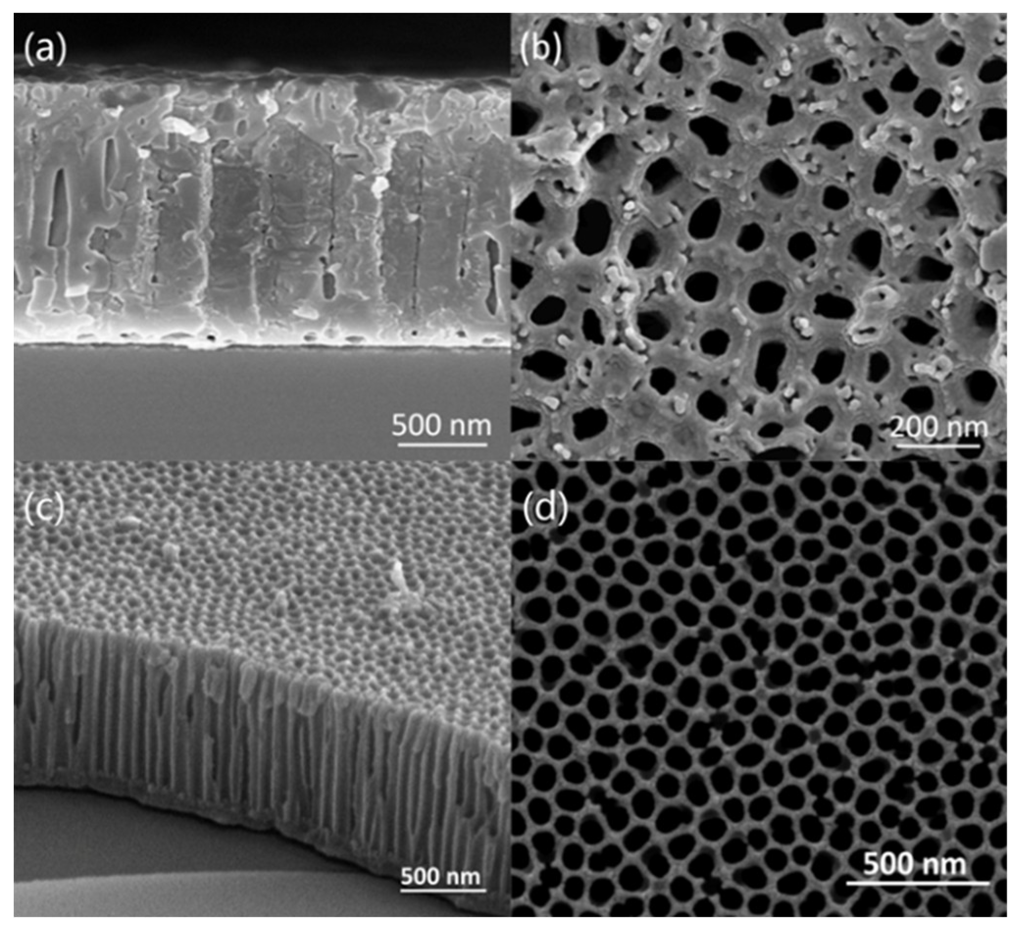 Micromachines 11 00575 g005 Micromachines 11 00575 g005