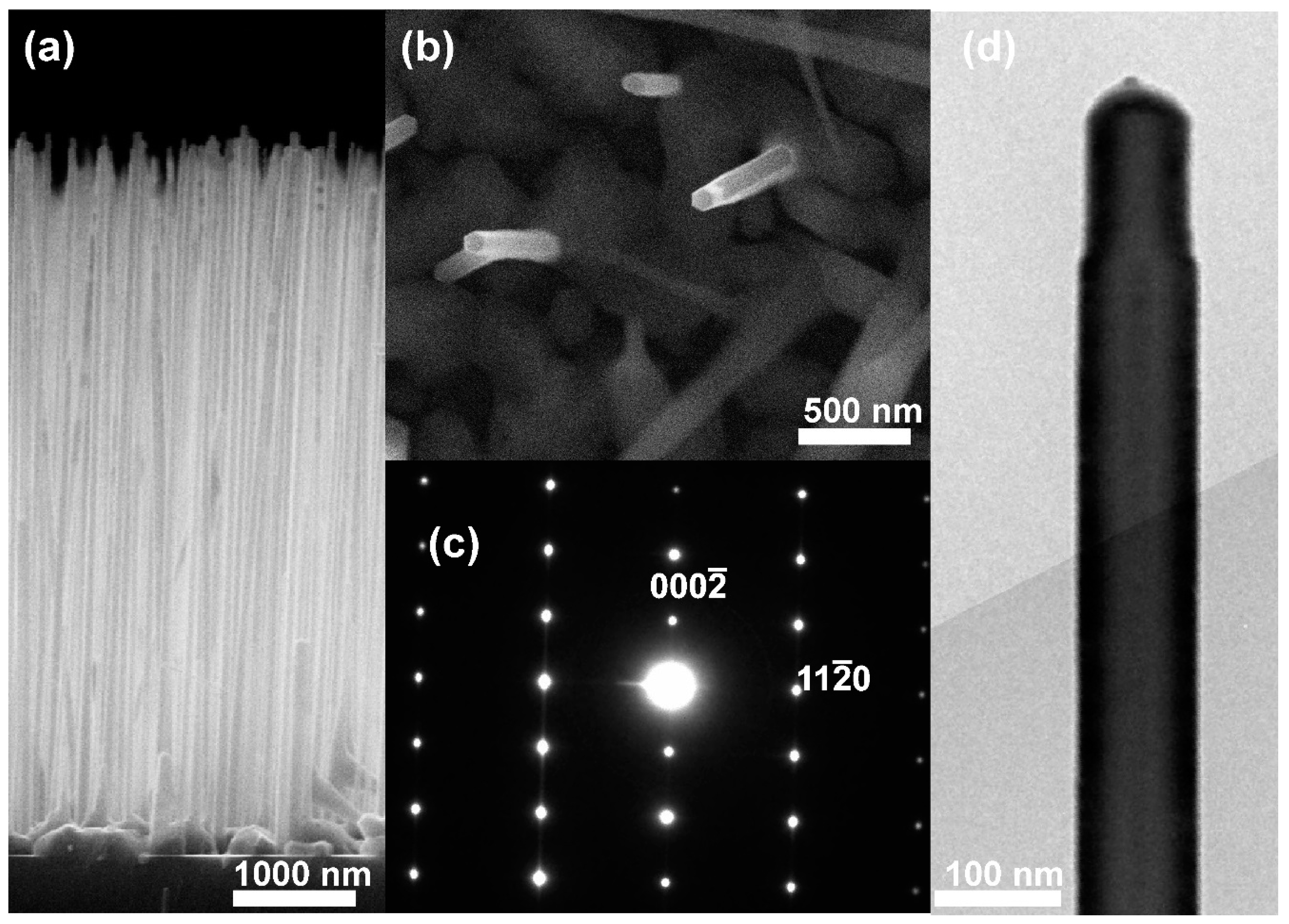 Micromachines 11 00581 g001
