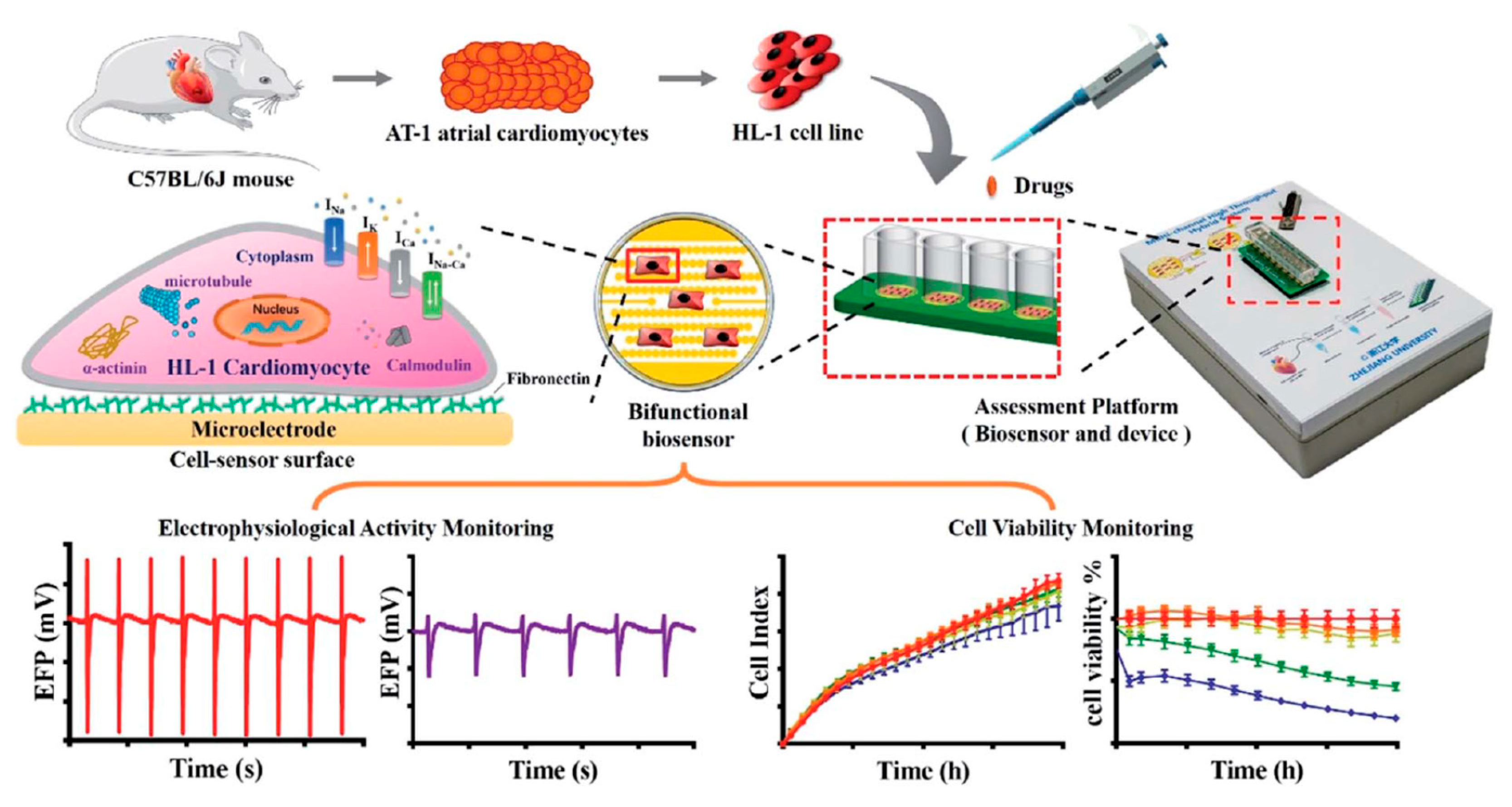 Micromachines 11 00590 g013
