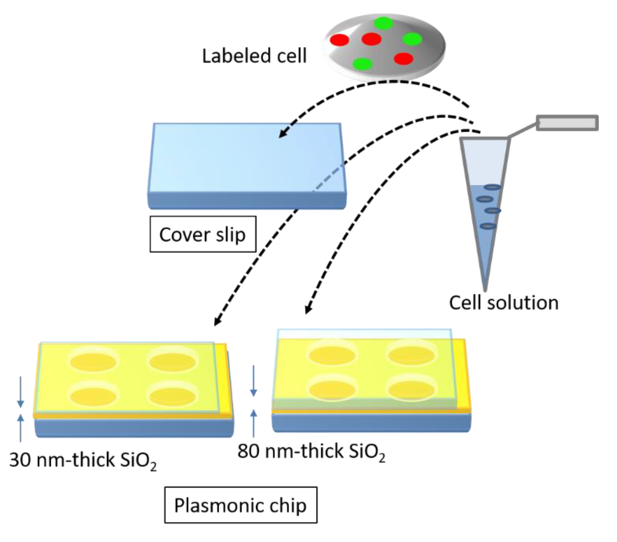 Micromachines 11 00604 g002