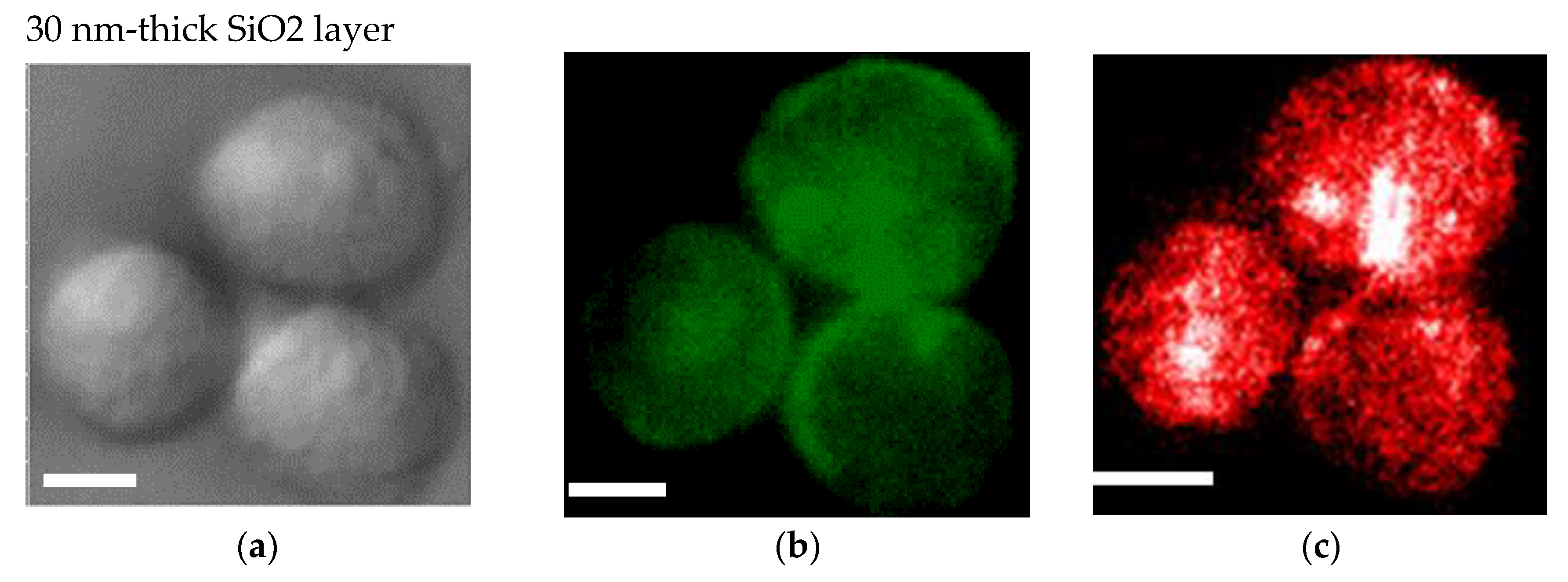 Micromachines 11 00604 g004a