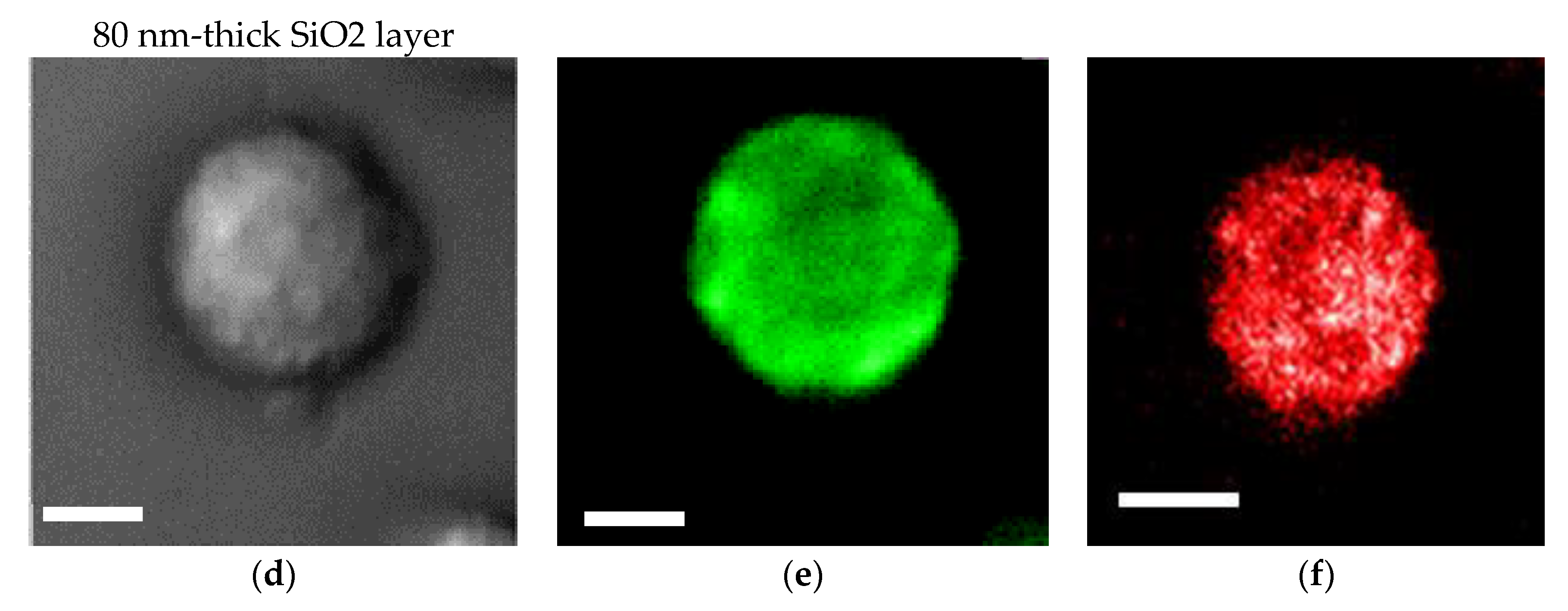 Micromachines 11 00604 g004b