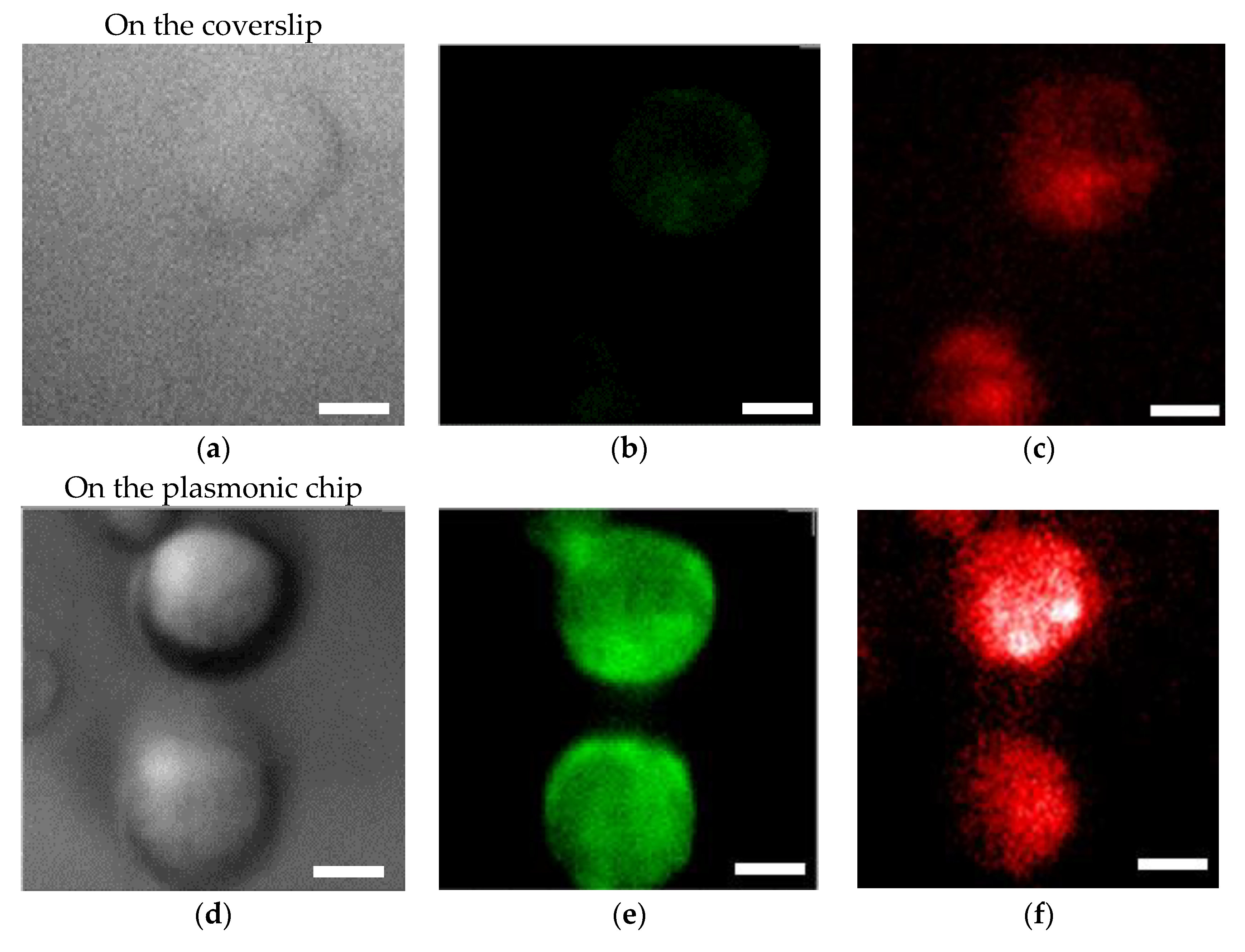Micromachines 11 00604 g005