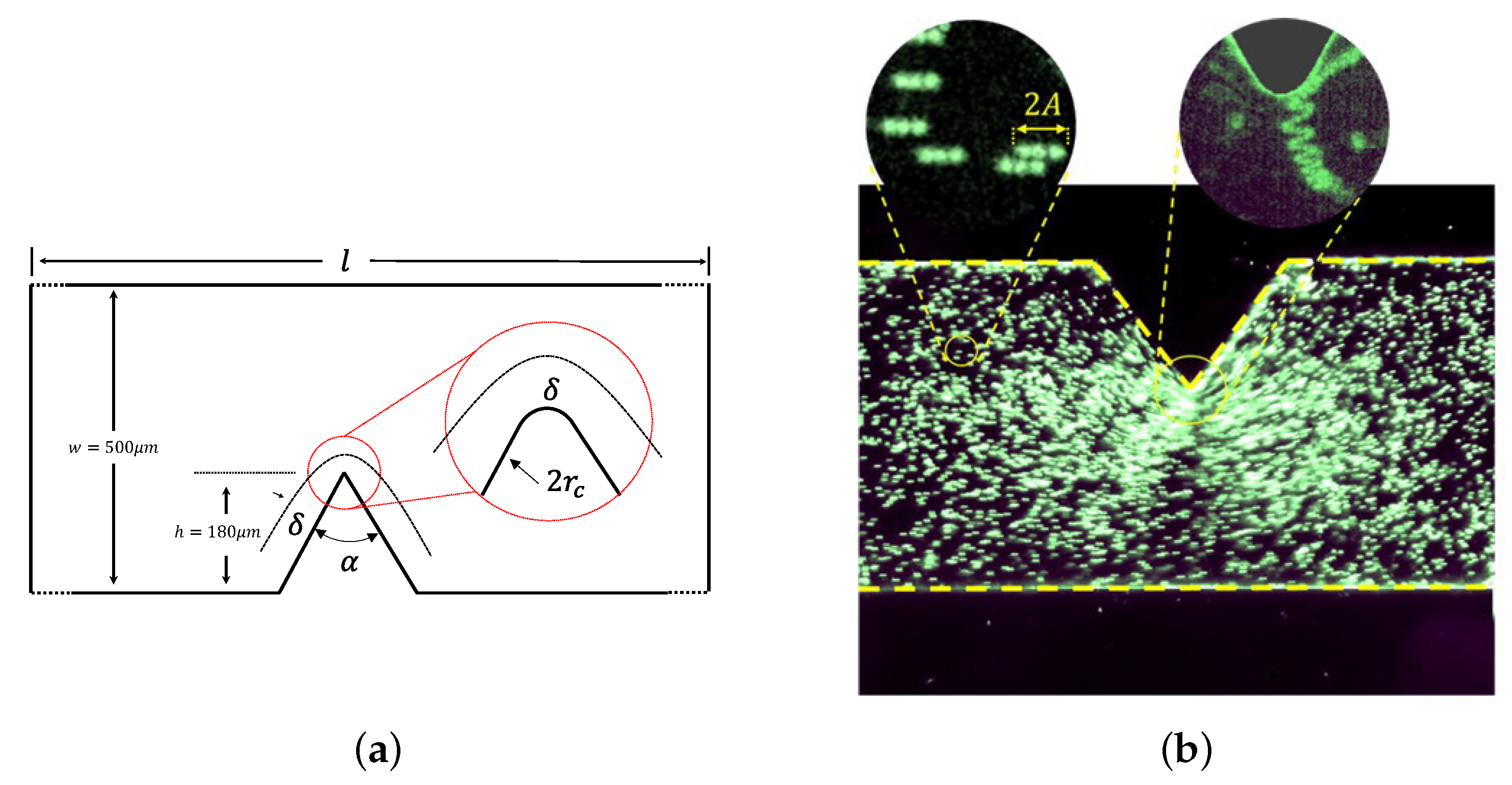 Micromachines 11 00607 g002