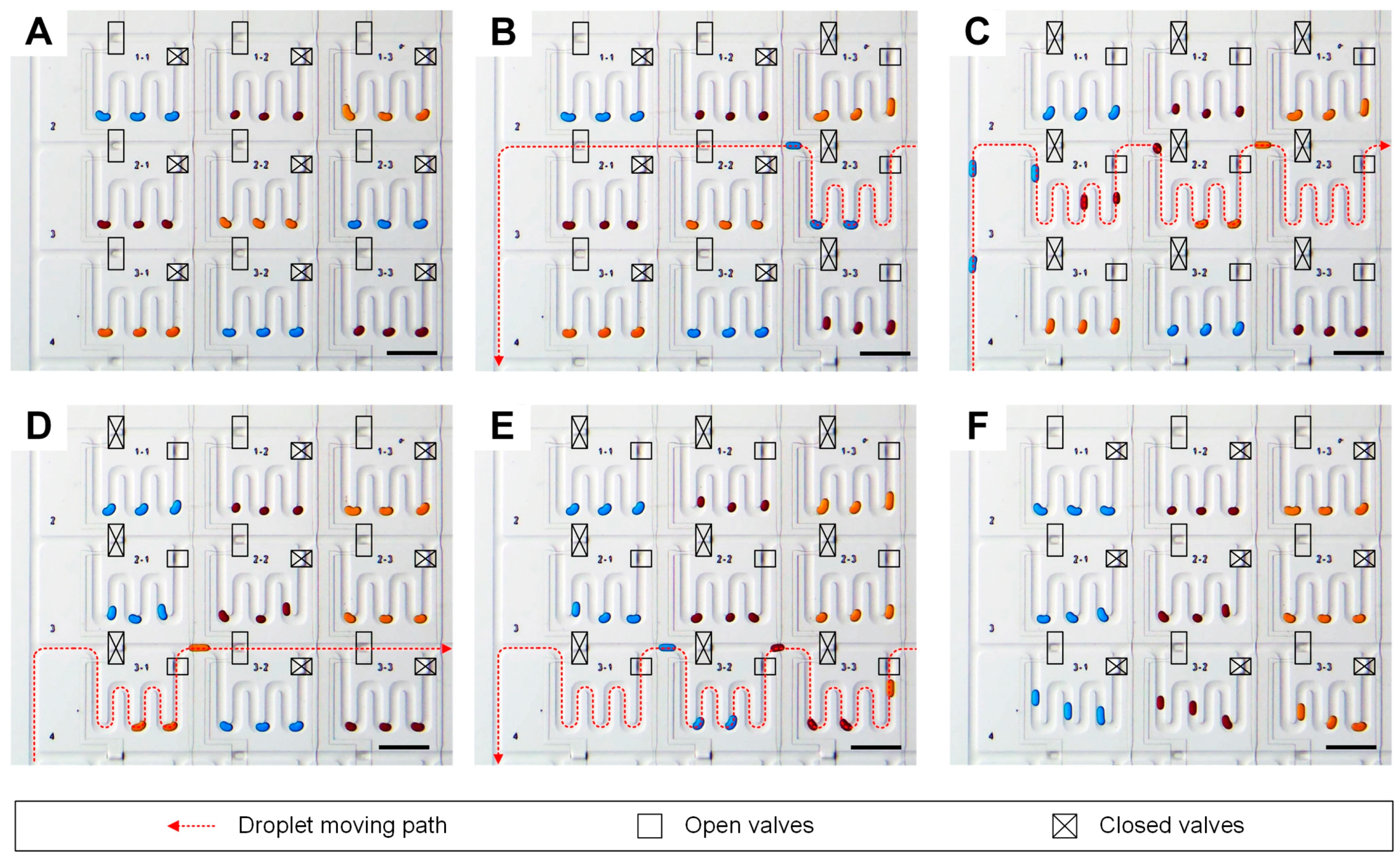 Micromachines 11 00608 g003