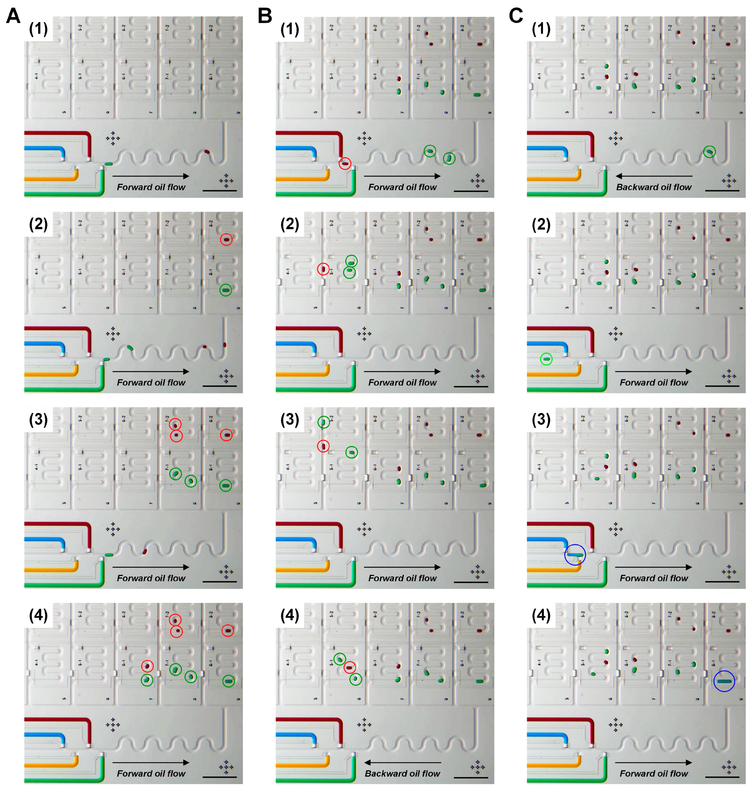 Micromachines 11 00608 g005