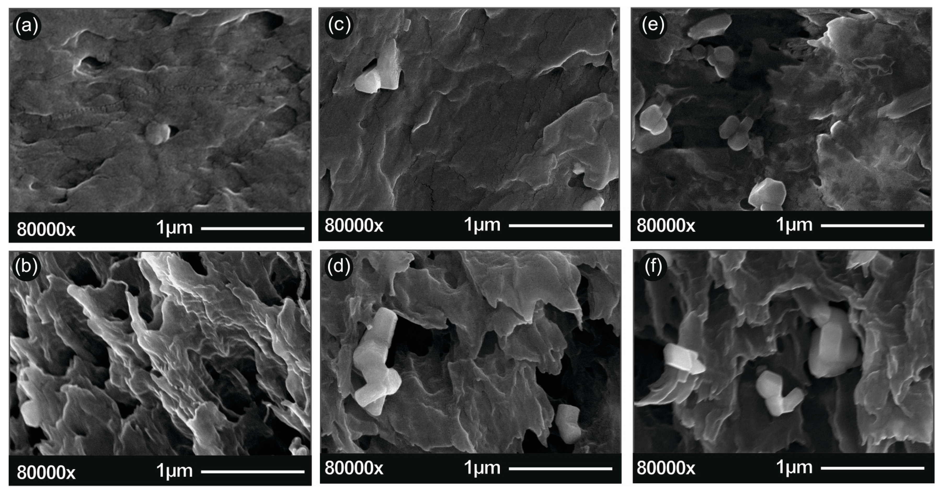 Micromachines 11 00615 g004