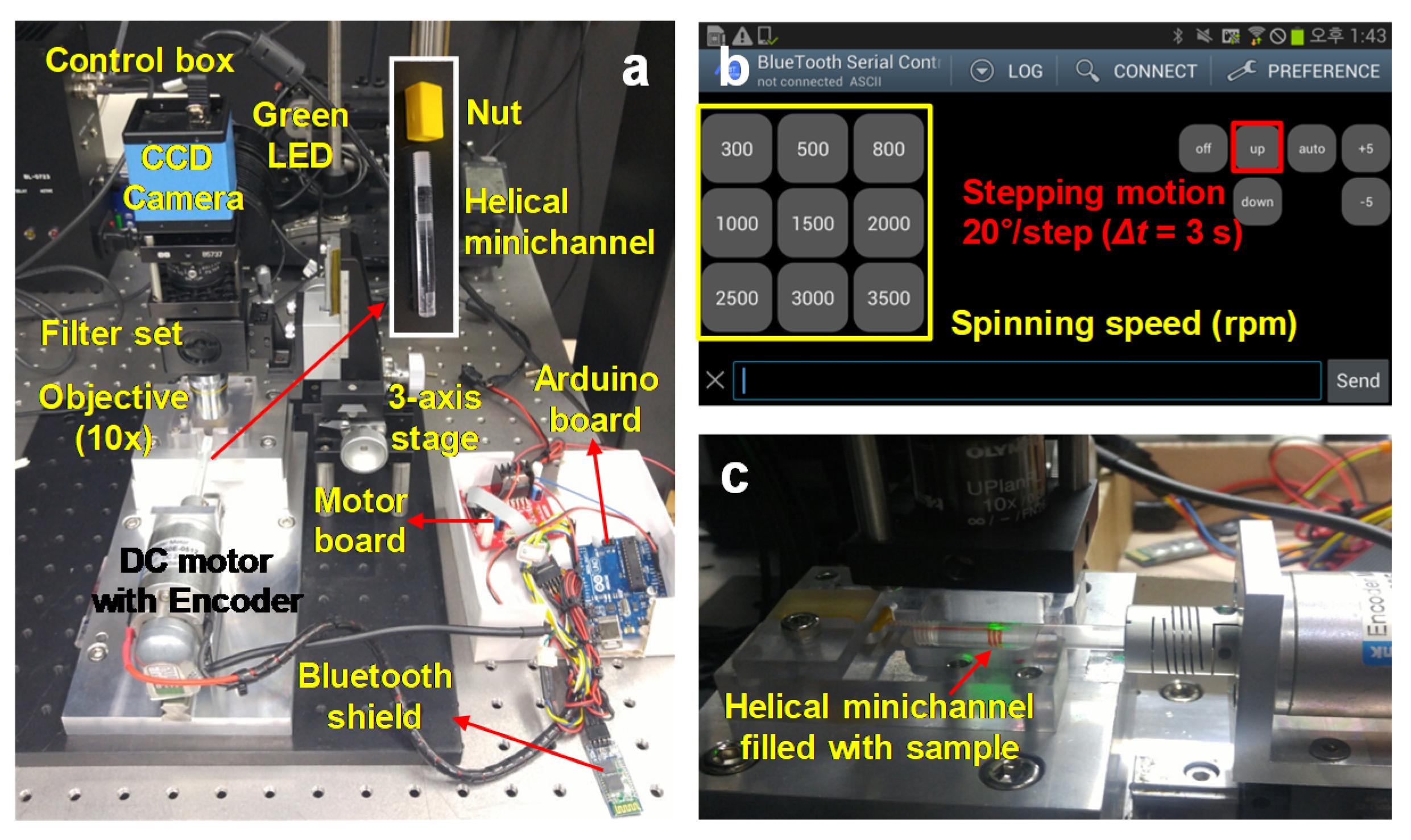 Micromachines 11 00618 g001