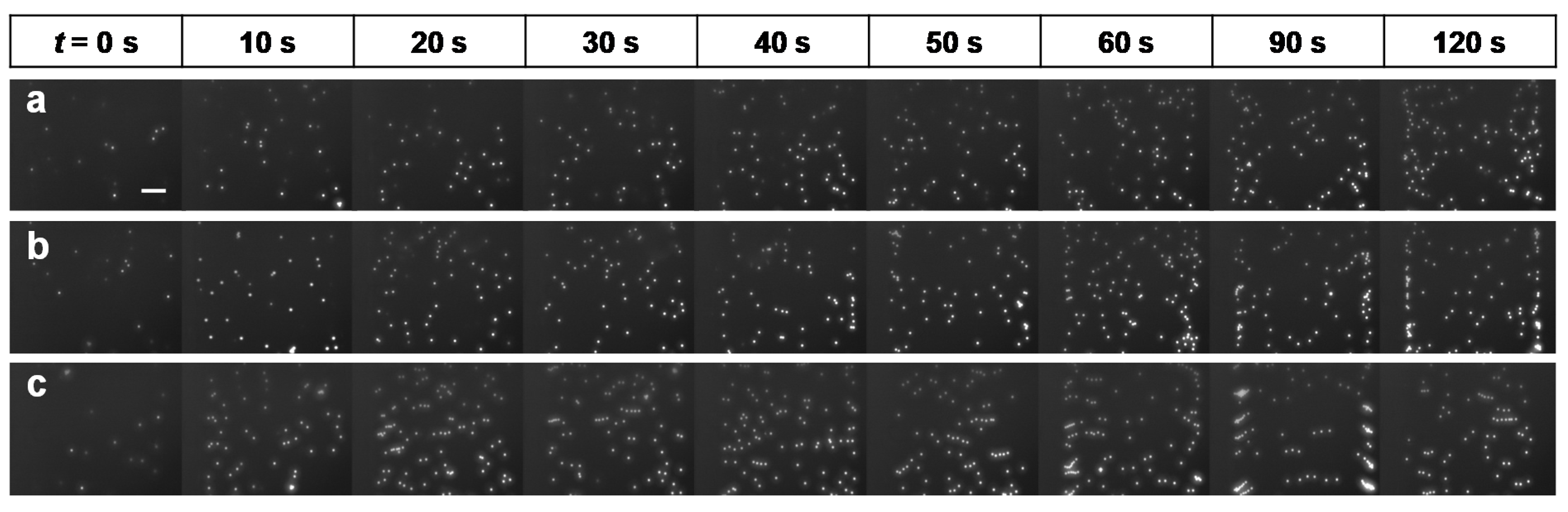 Micromachines 11 00618 g007