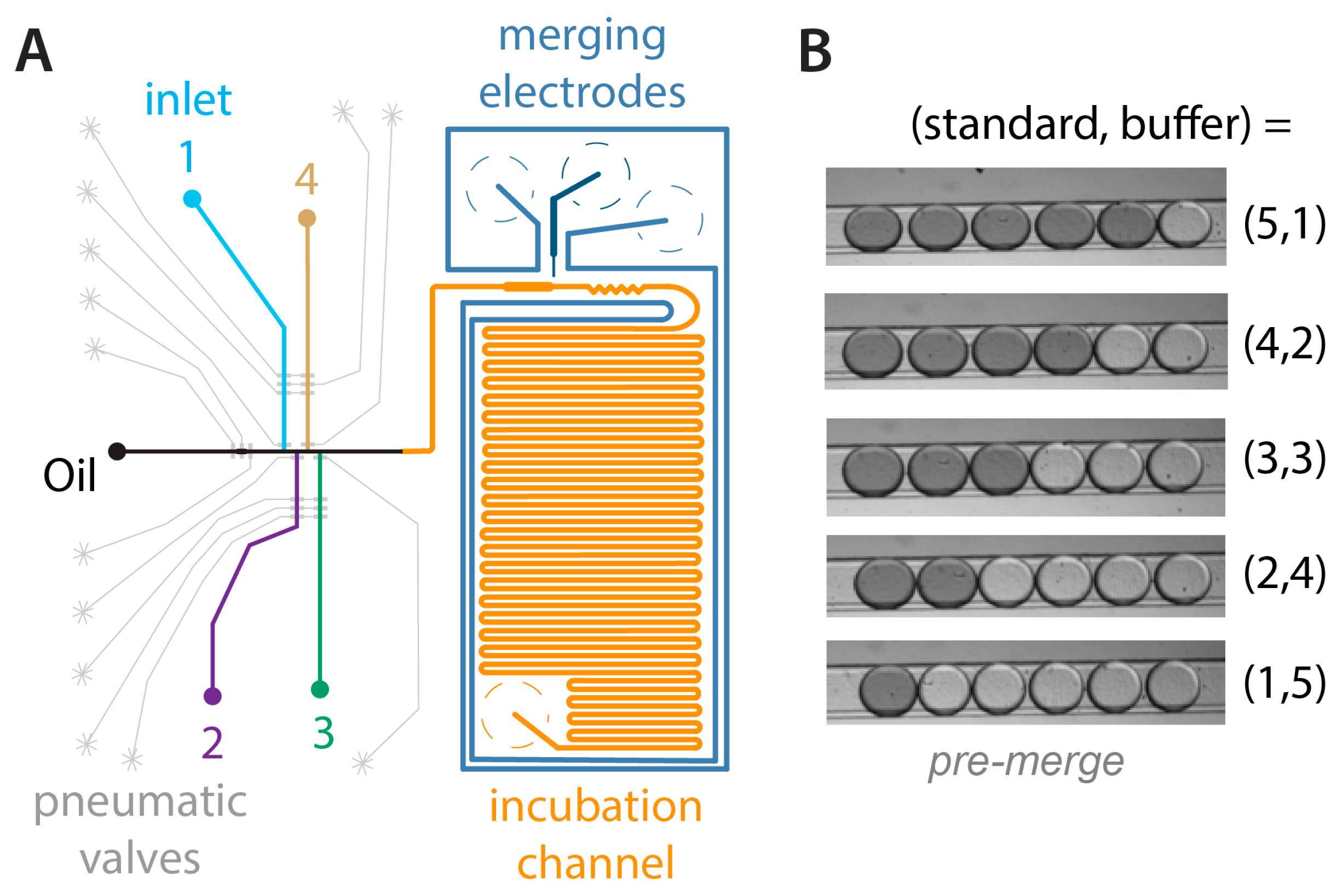 Micromachines 11 00620 g001