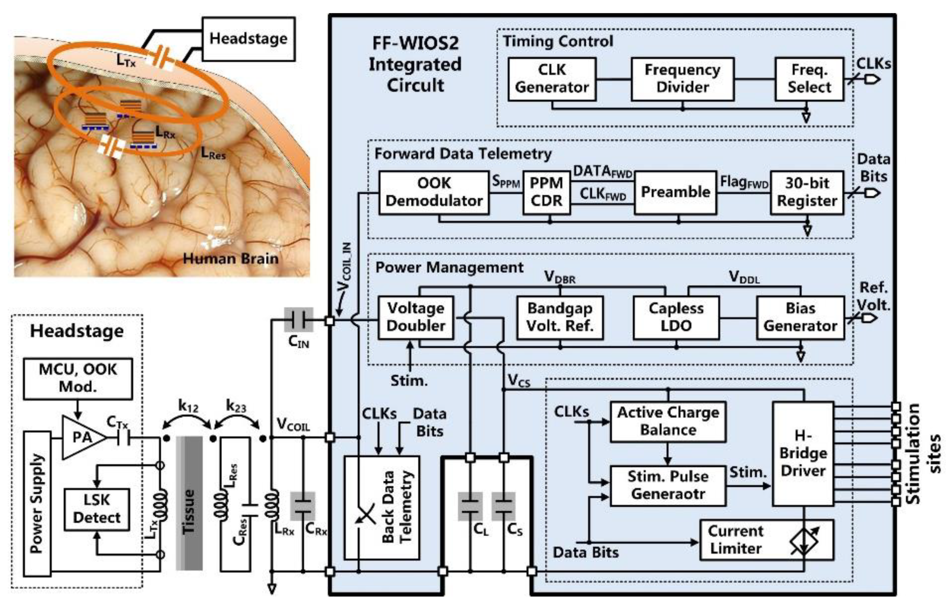 Micromachines 11 00621 g002