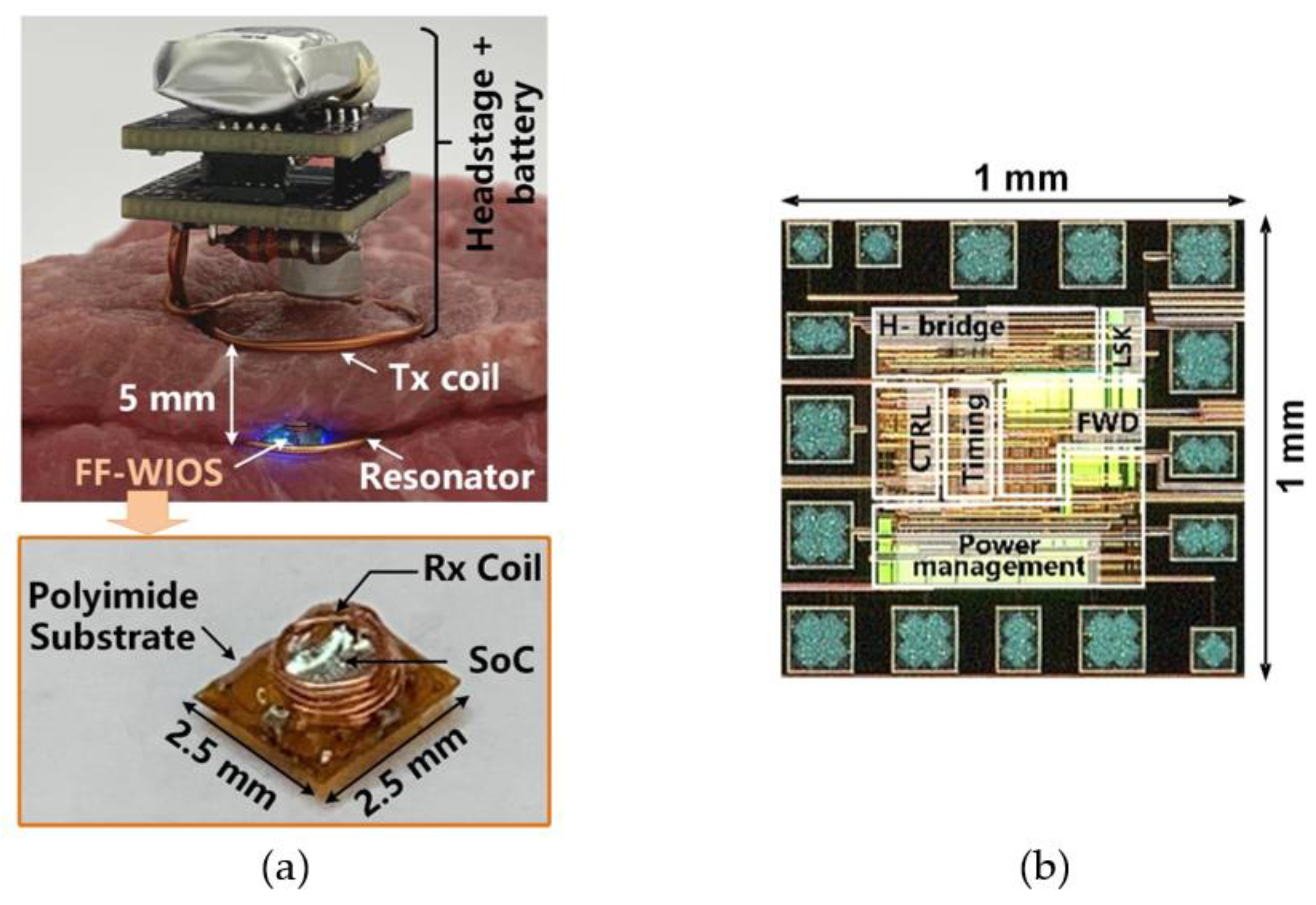 Micromachines 11 00621 g004