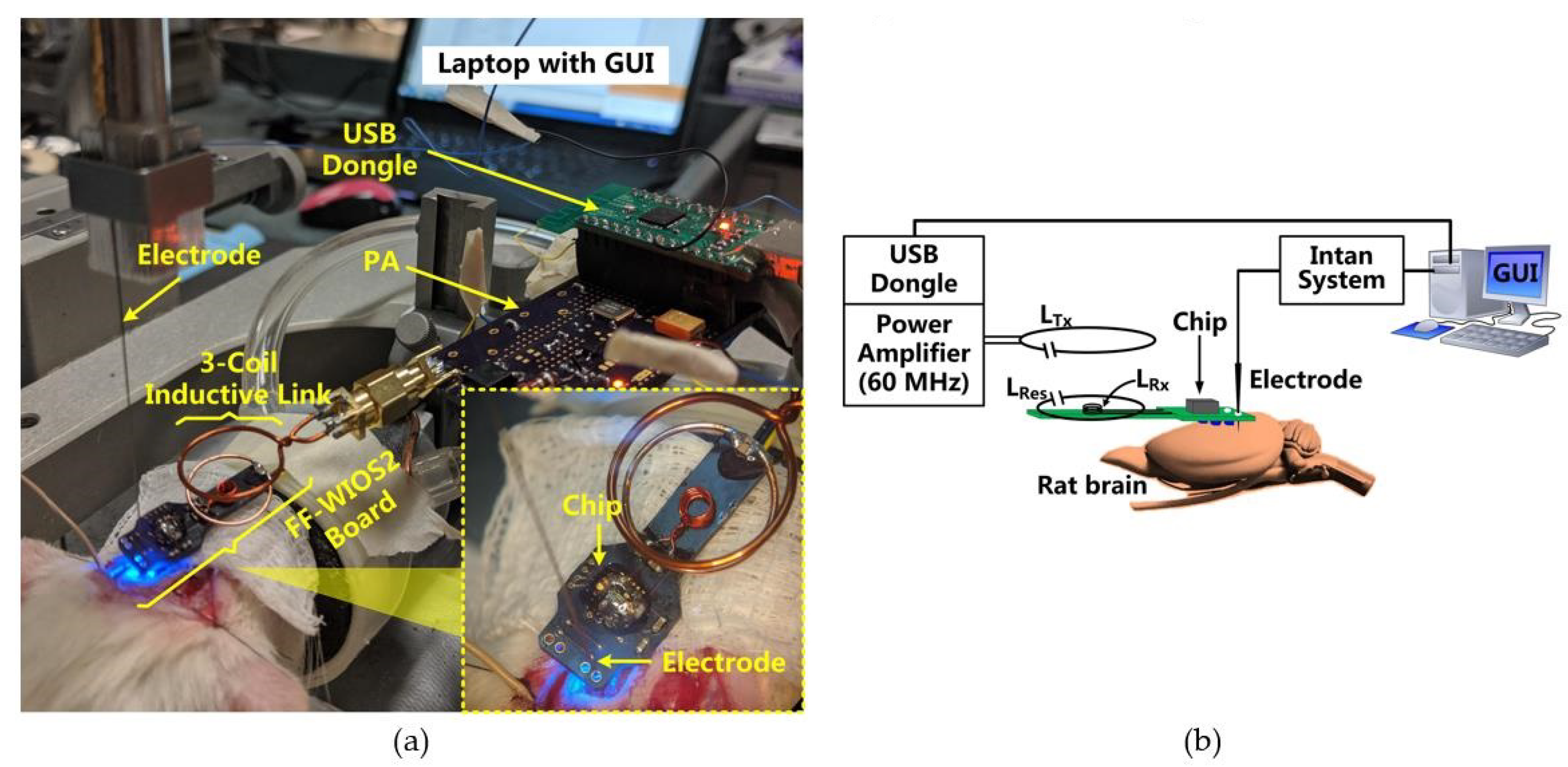 Micromachines 11 00621 g006