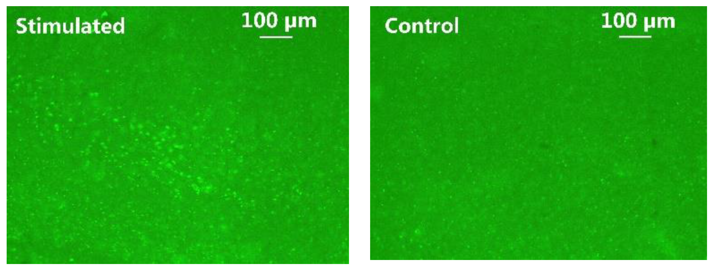 Micromachines 11 00621 g014