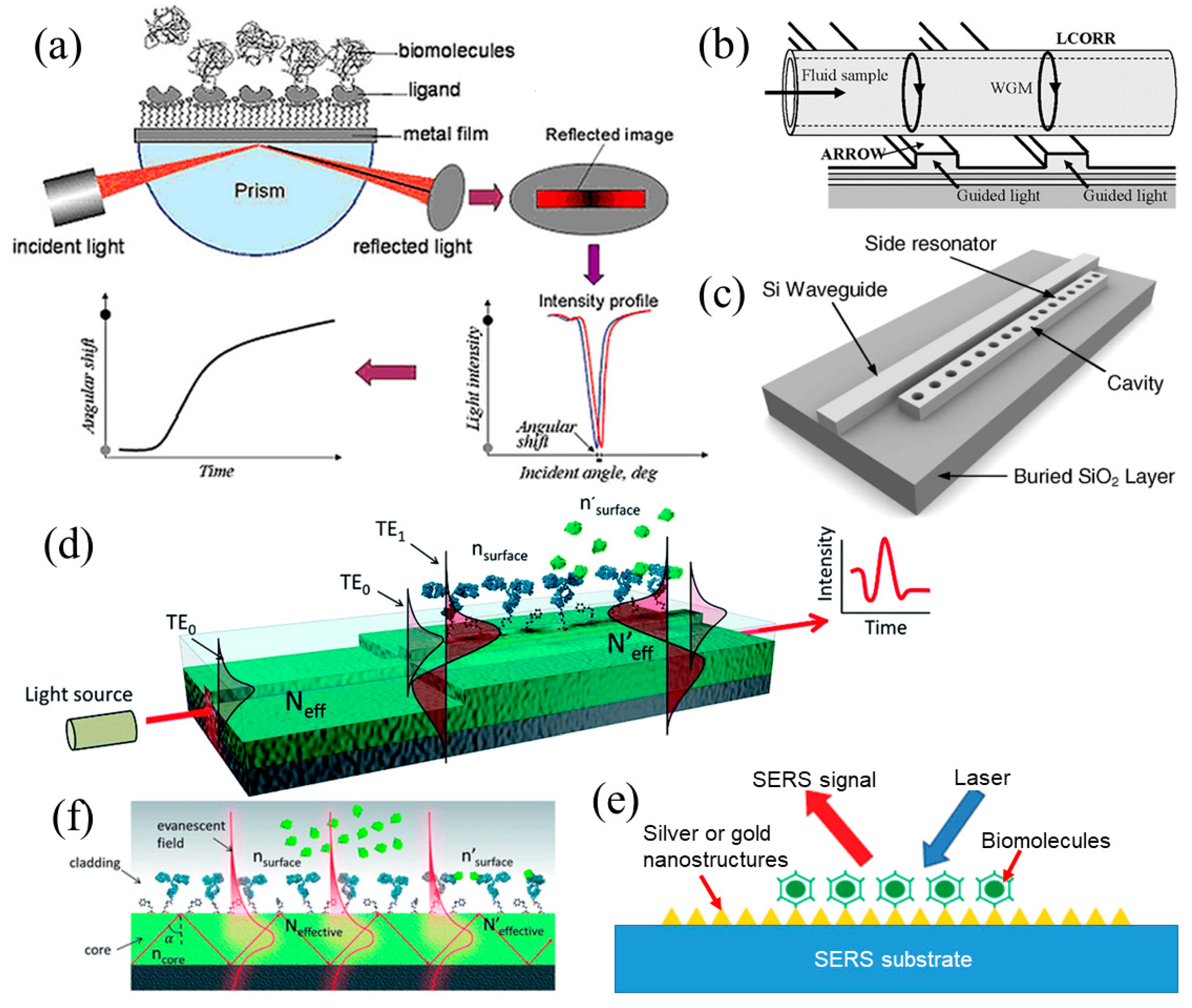 Micromachines 11 00629 g002 Micromachines 11 00629 g002