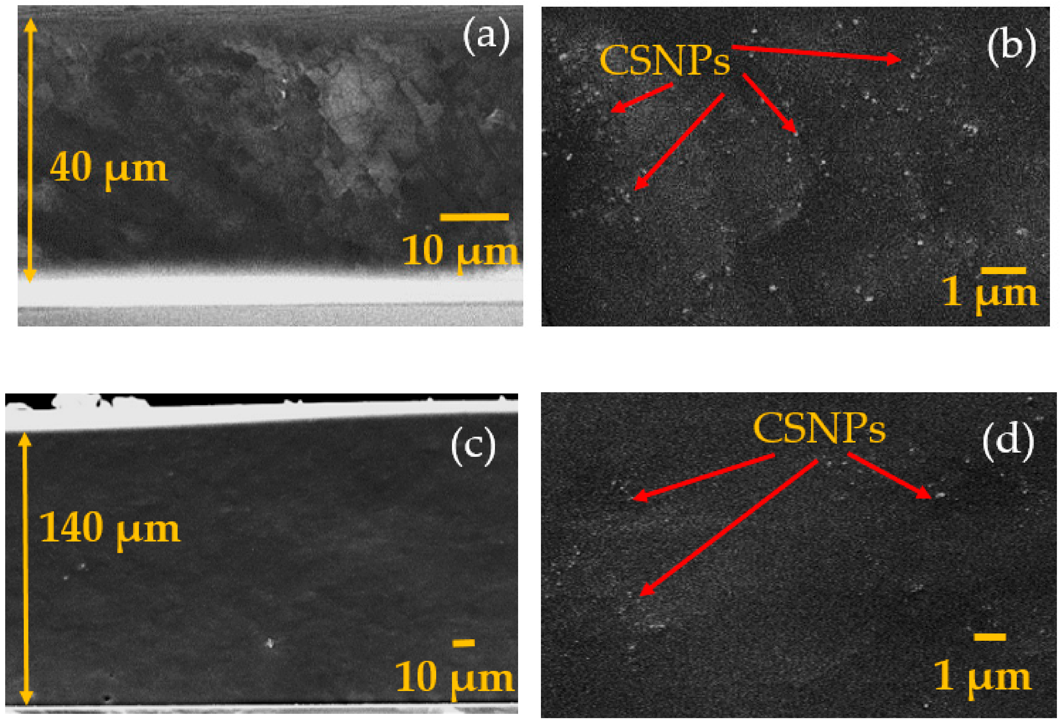 Micromachines 11 00631 g002 Micromachines 11 00631 g002
