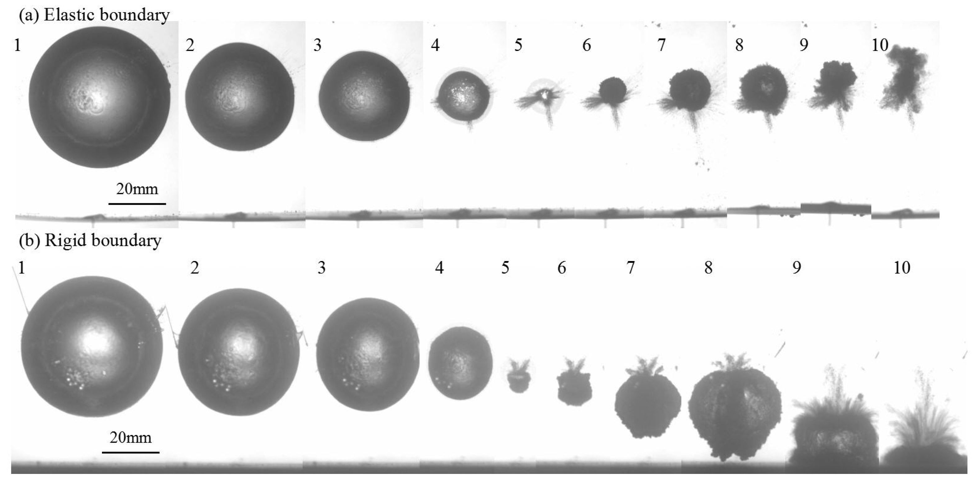 Micromachines 11 00637 g012