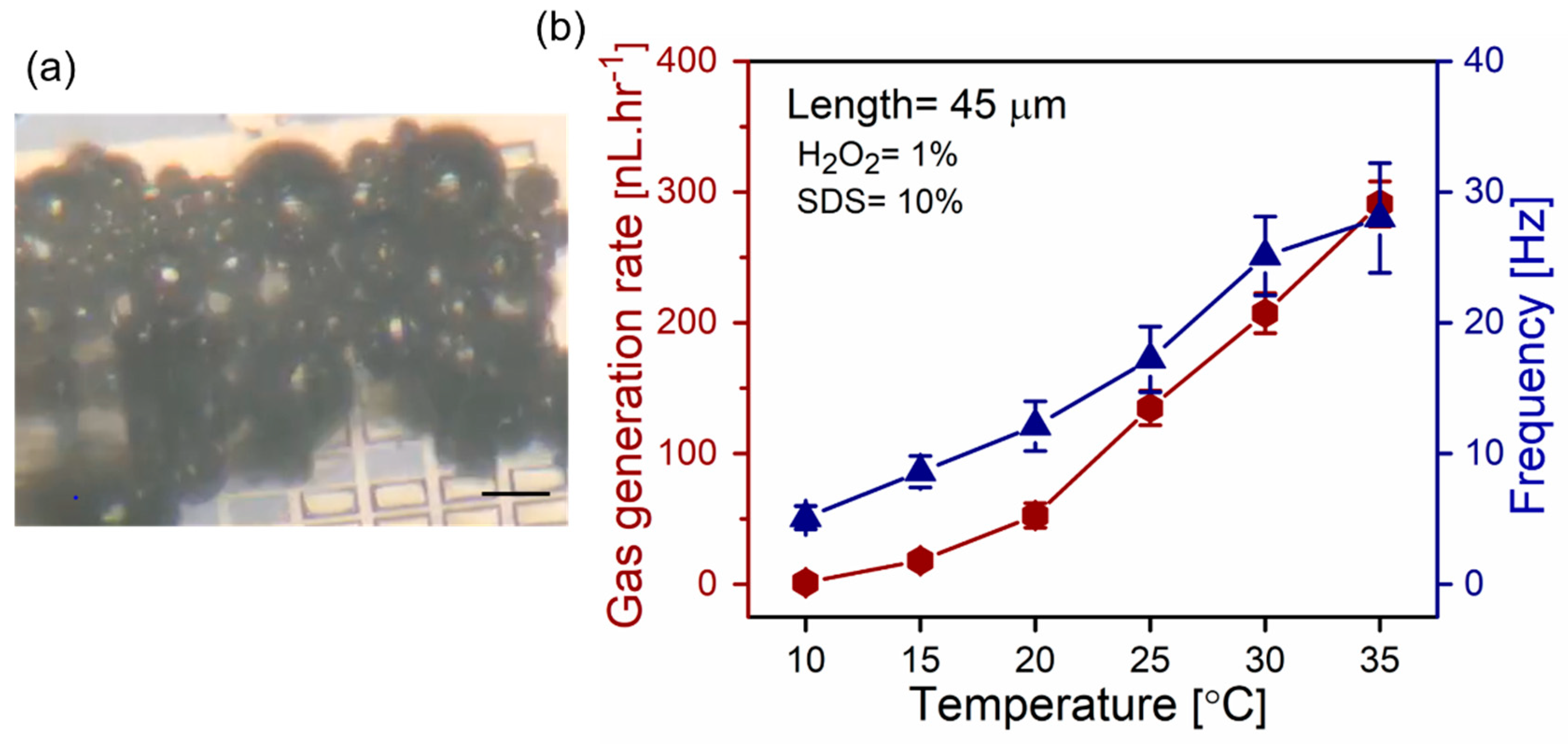 Micromachines 11 00643 g005
