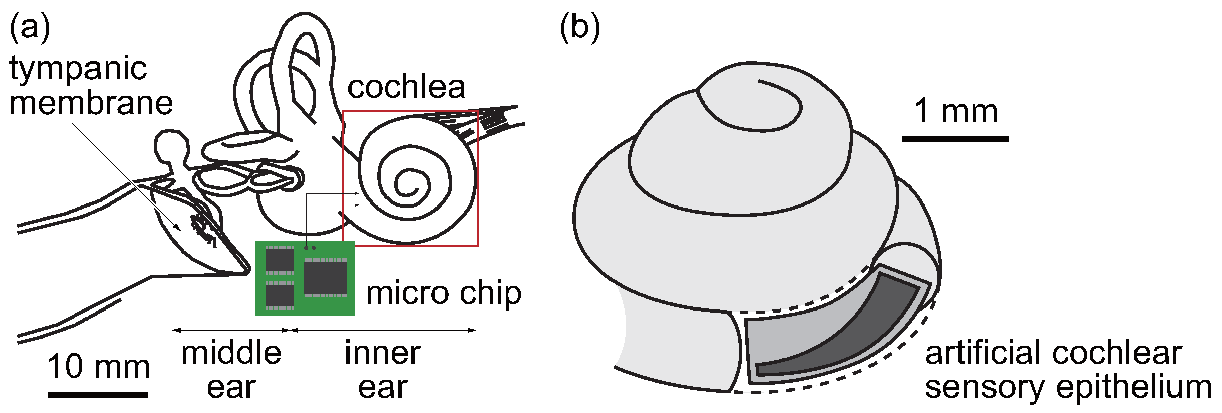 Micromachines 11 00644 g0a1