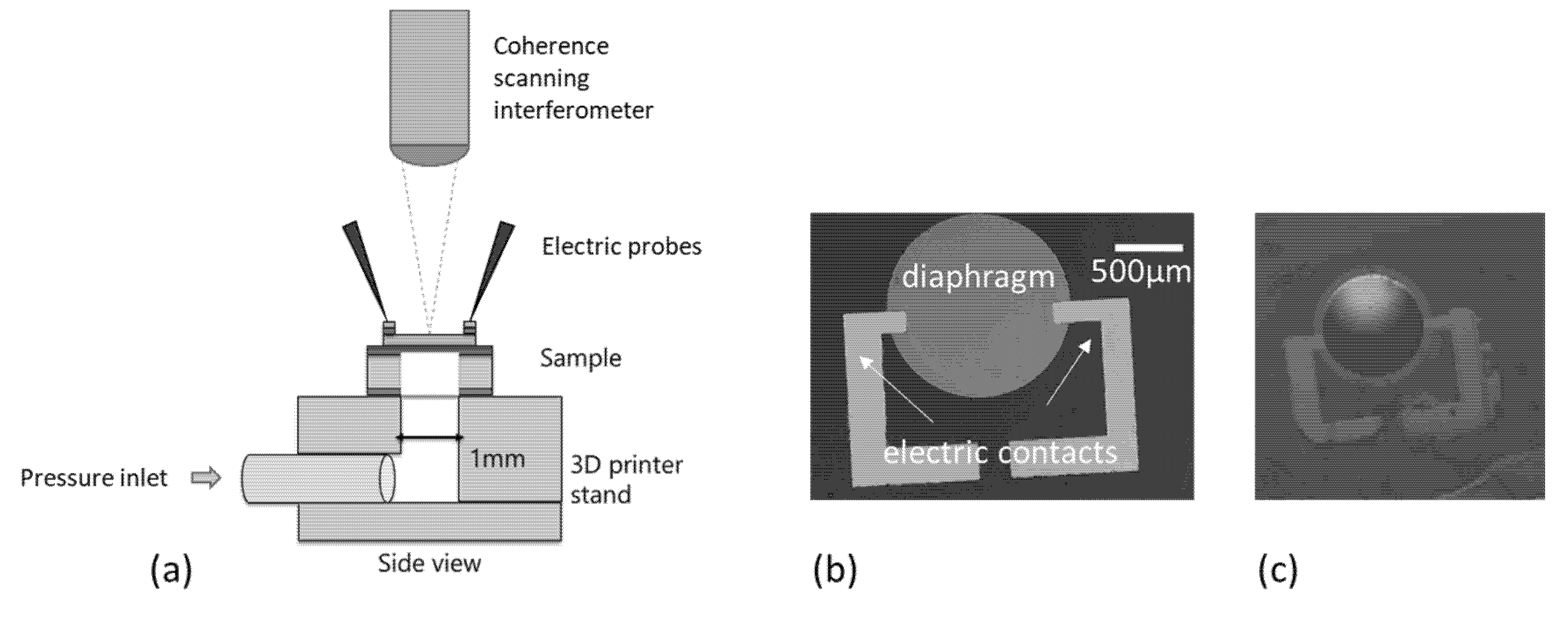 Micromachines 11 00649 g003