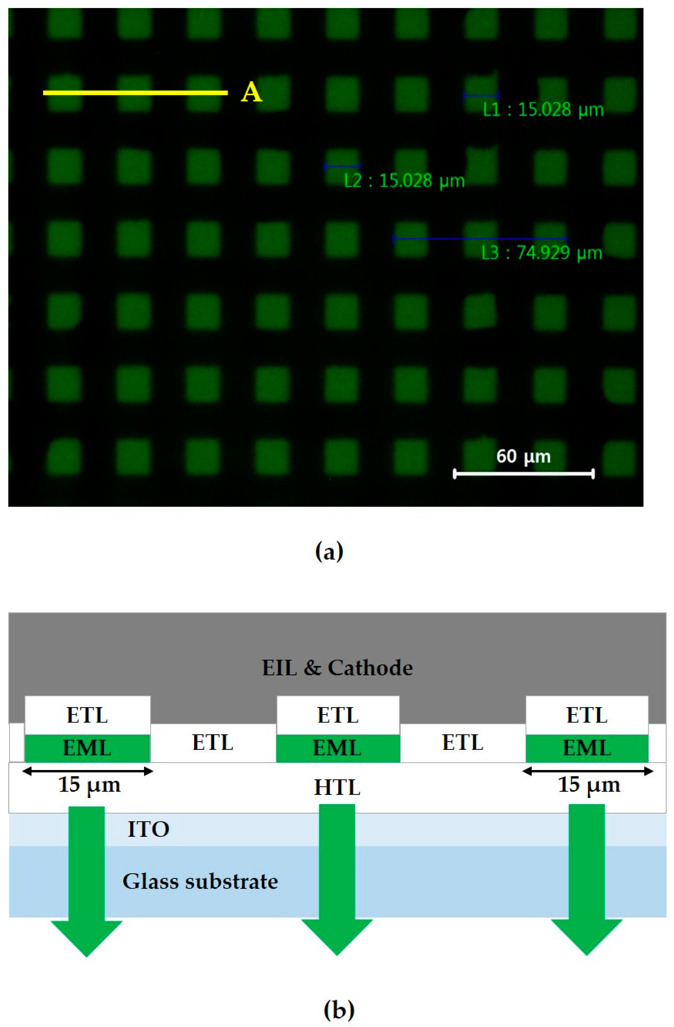 Micromachines 11 00650 g007