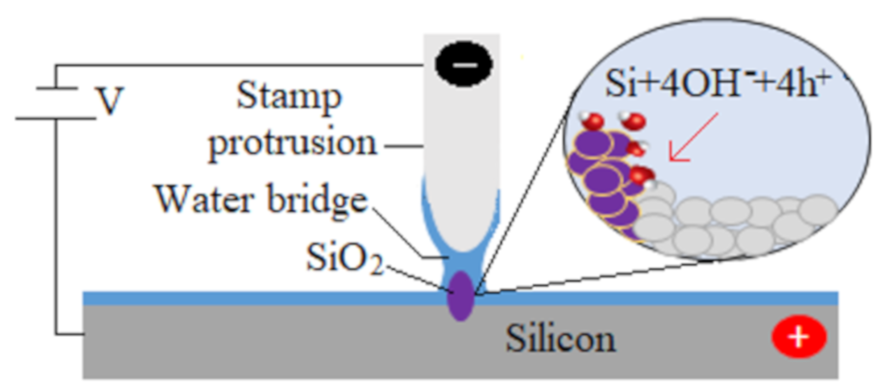 Micromachines 11 00656 g001
