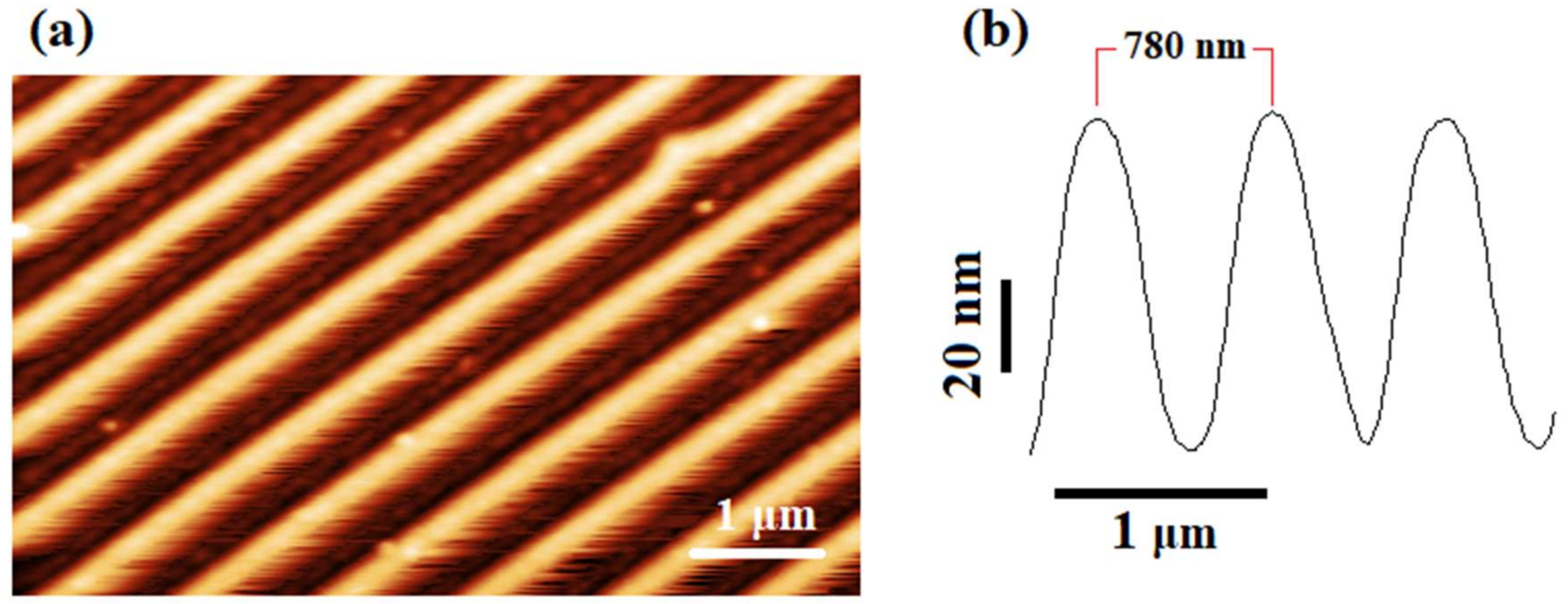 Micromachines 11 00656 g005