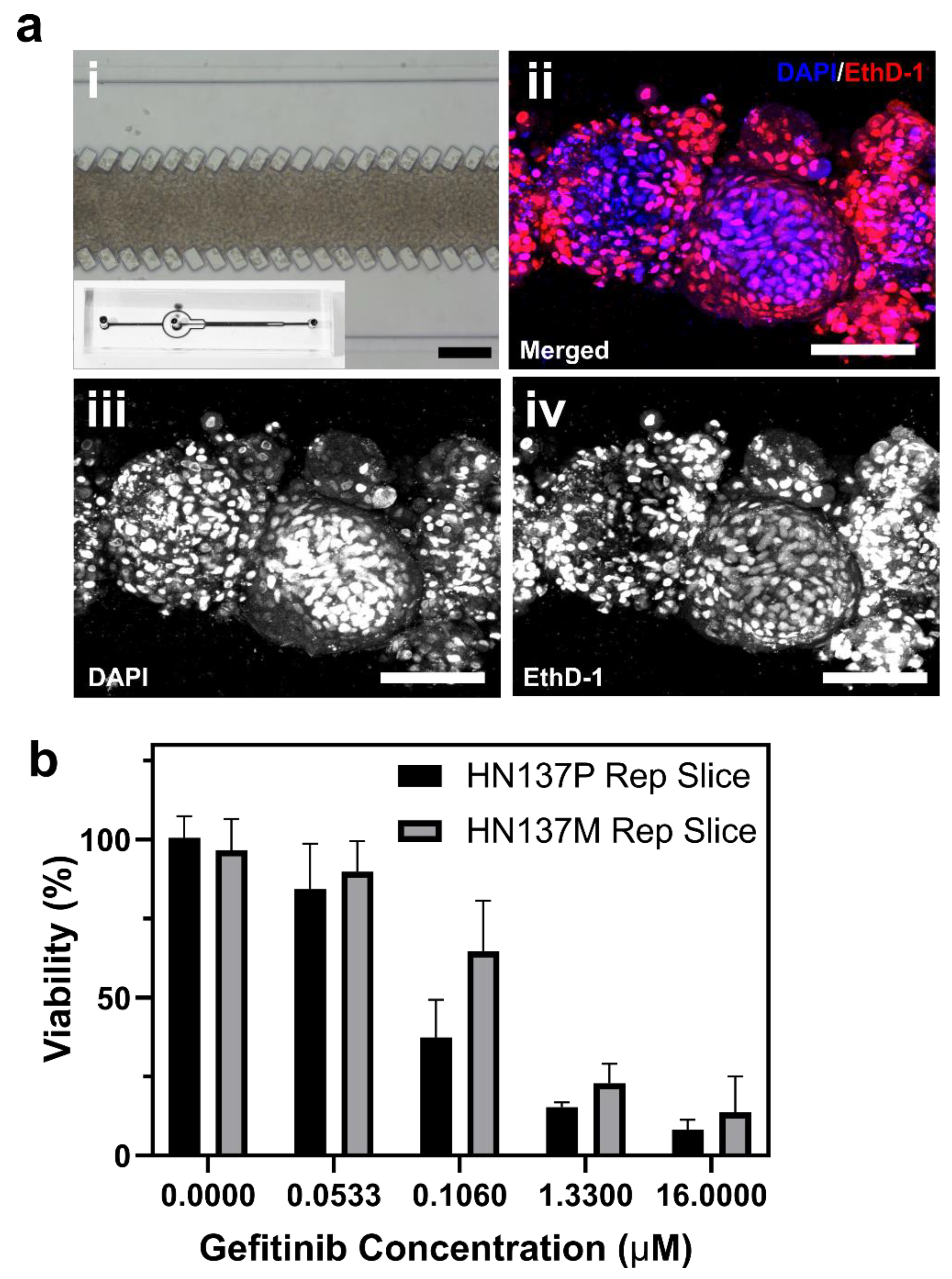 Micromachines 11 00669 g004