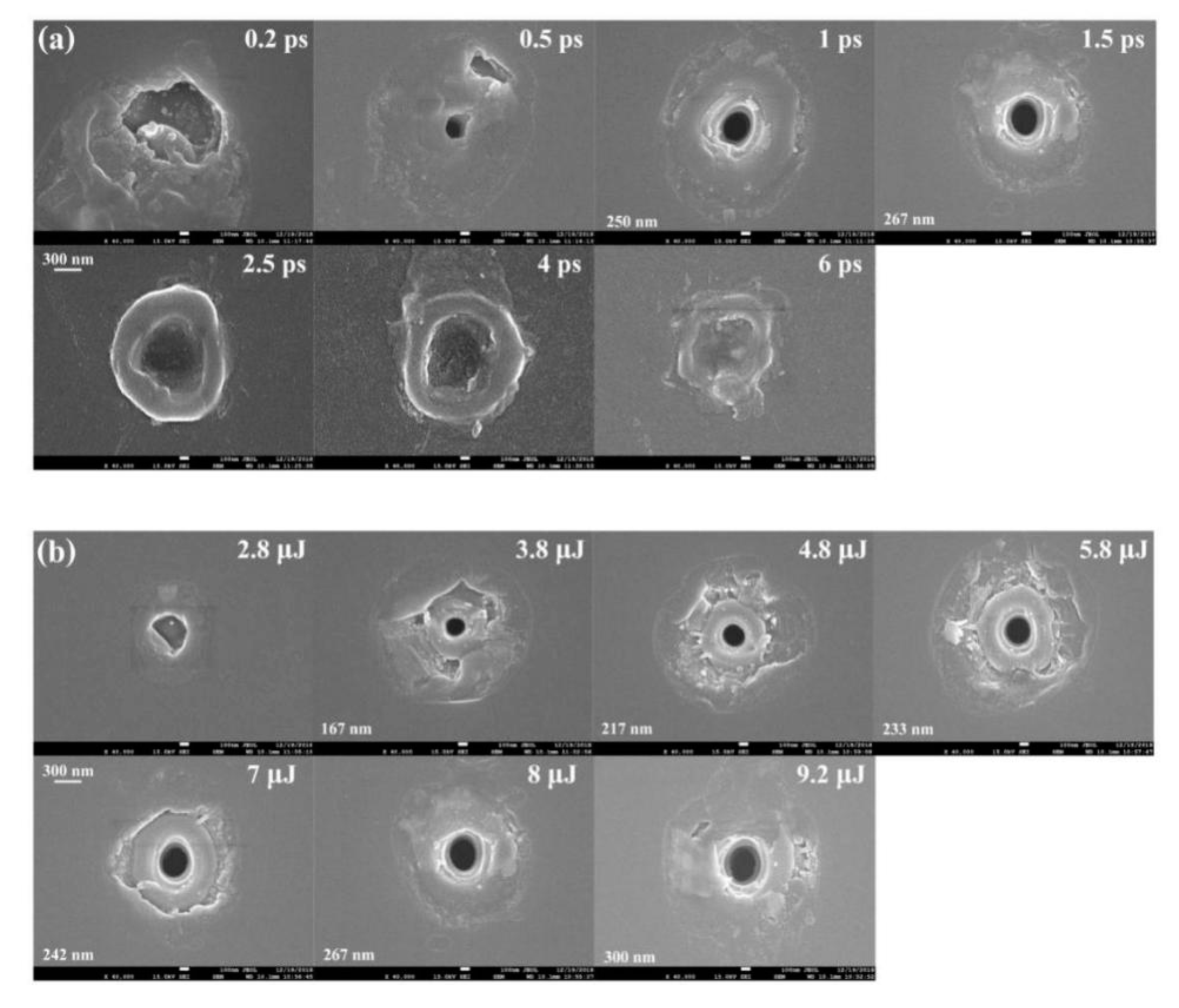 Micromachines 11 00671 g005