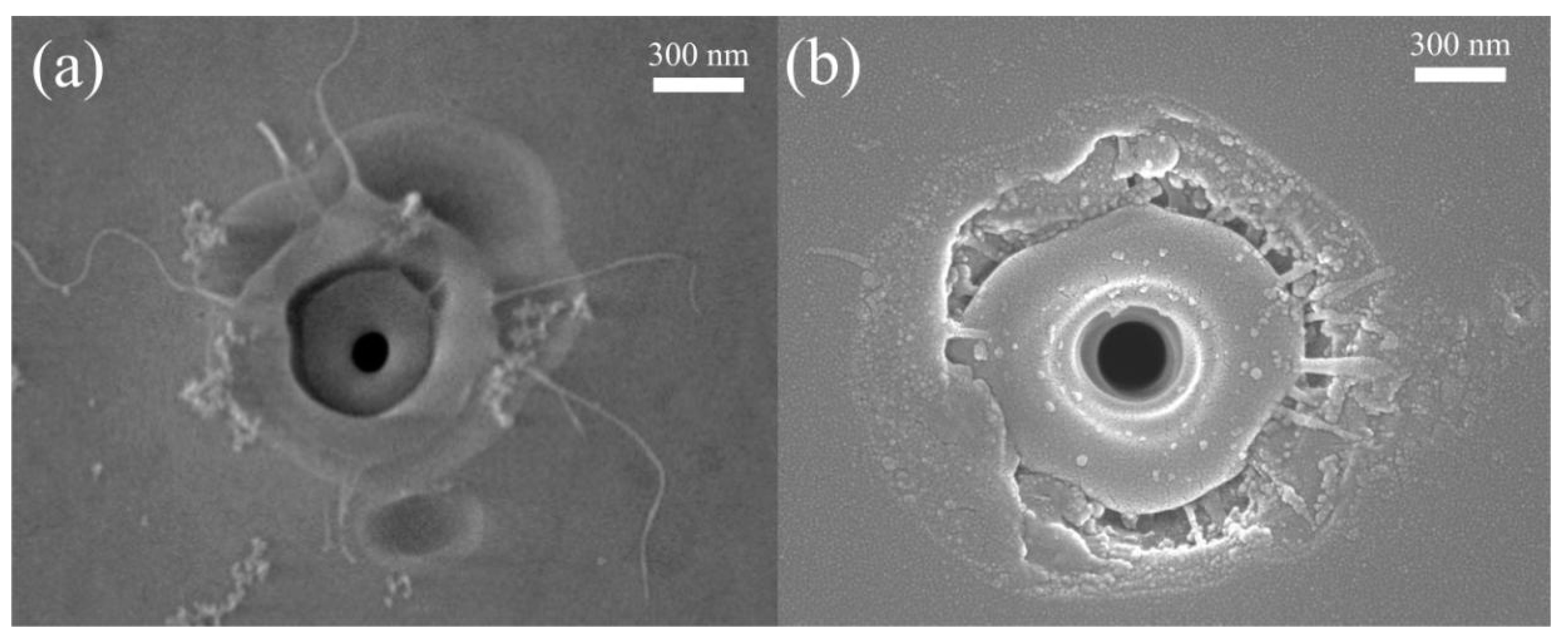 Micromachines 11 00671 g006