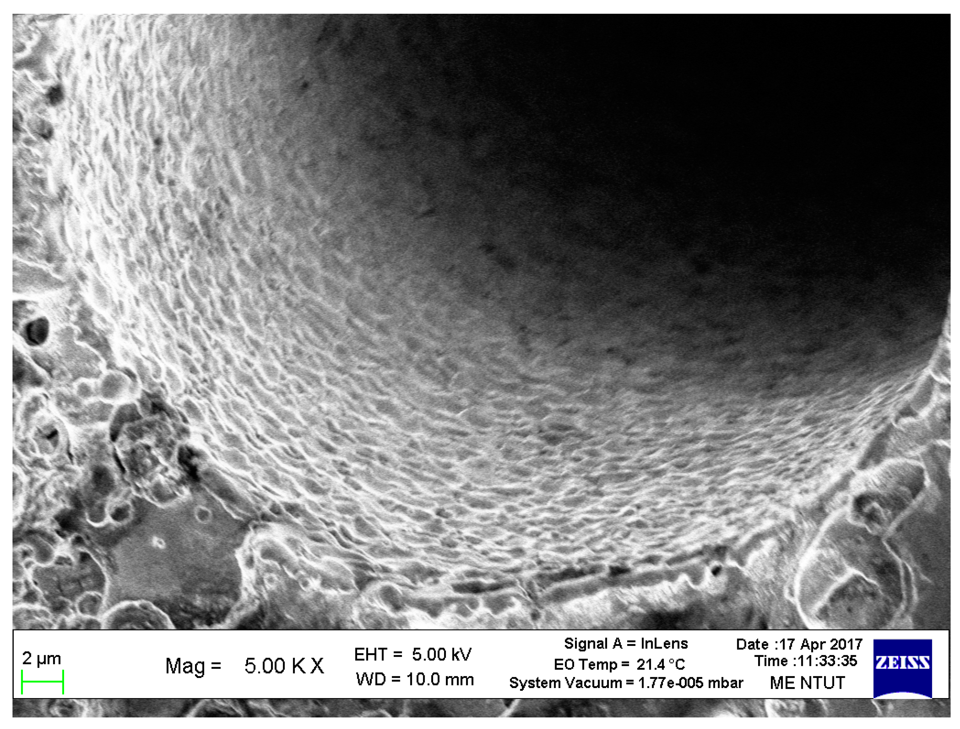 Micromachines 11 00675 g011