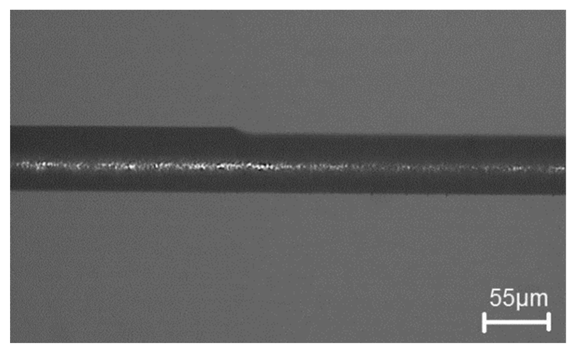 Micromachines 11 00675 g015