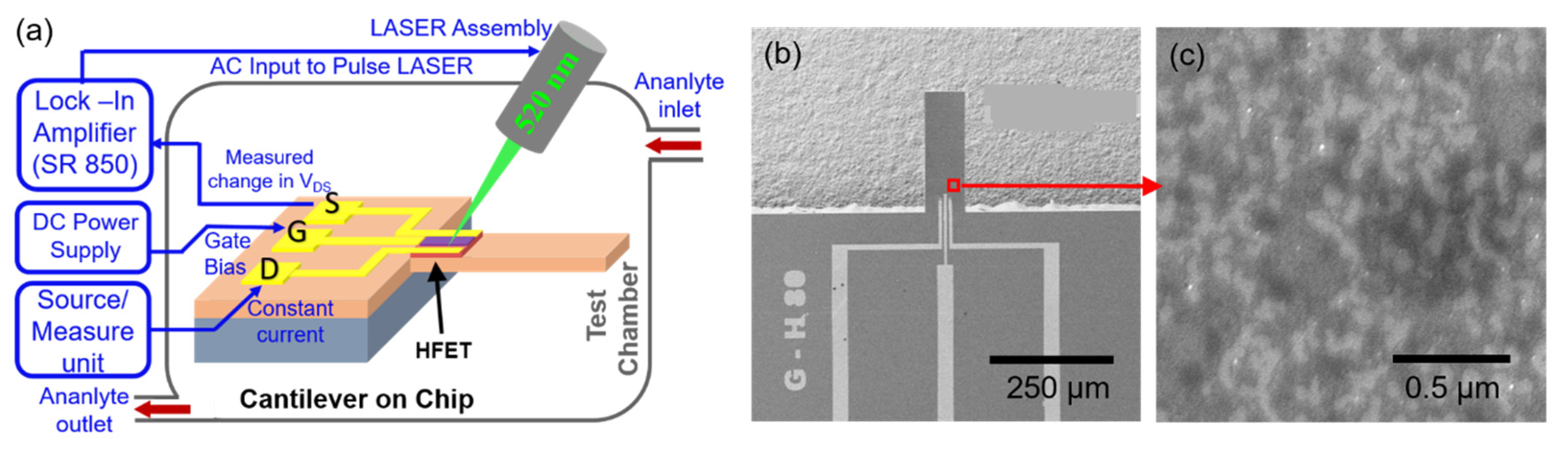 Micromachines 11 00680 g002