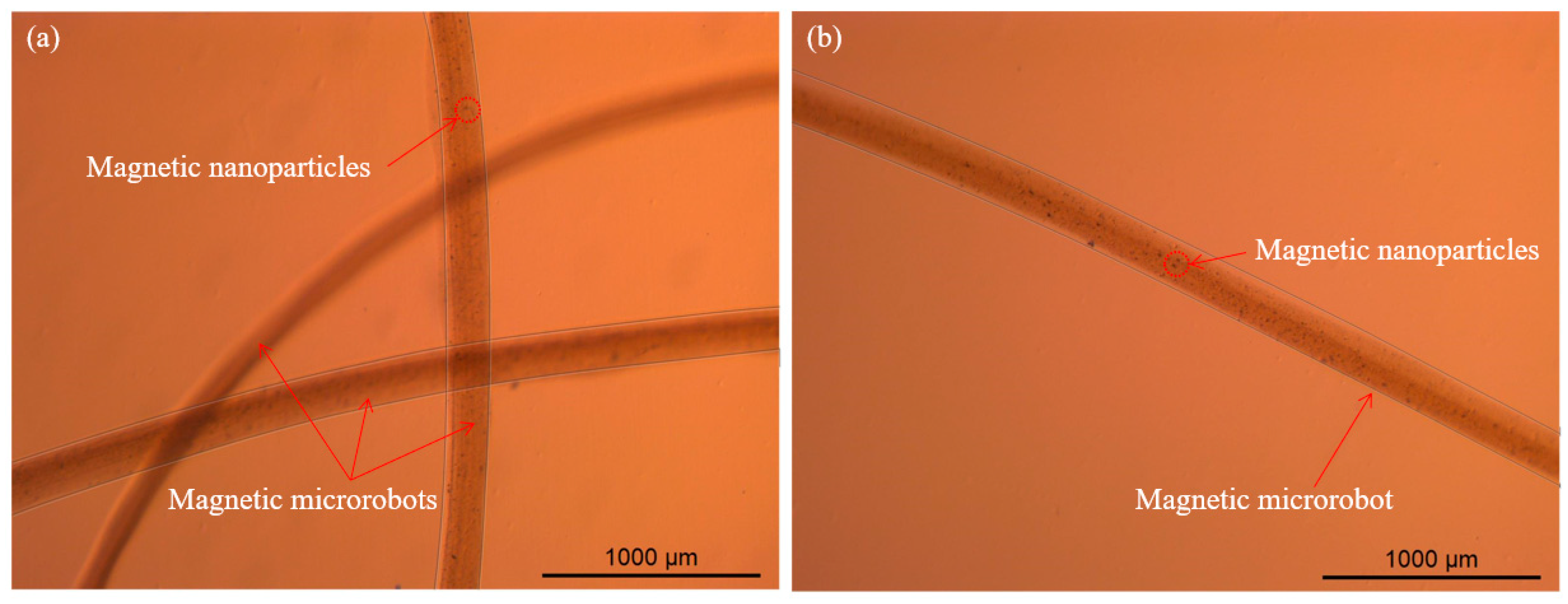 Micromachines 11 00697 g007