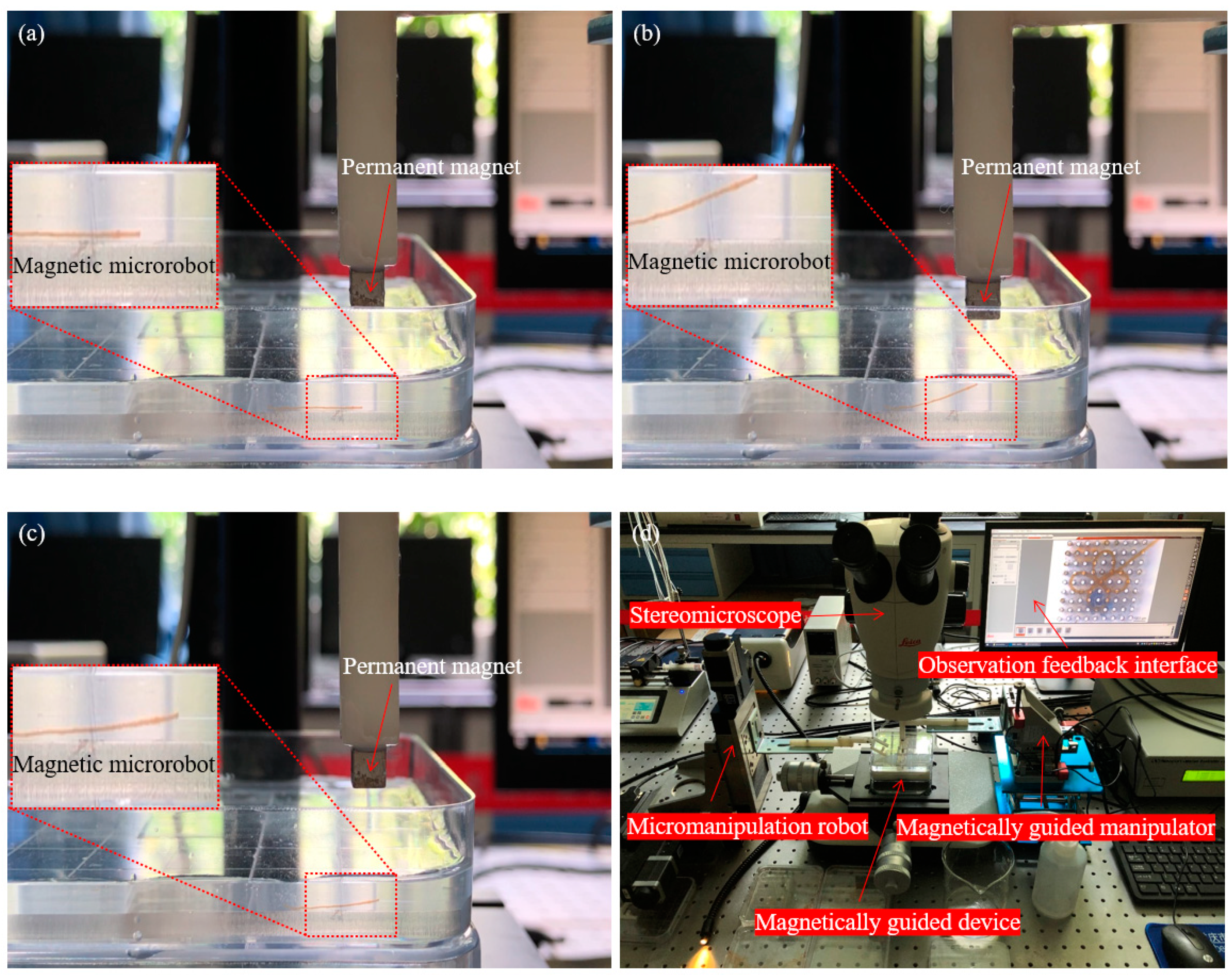 Micromachines 11 00697 g008