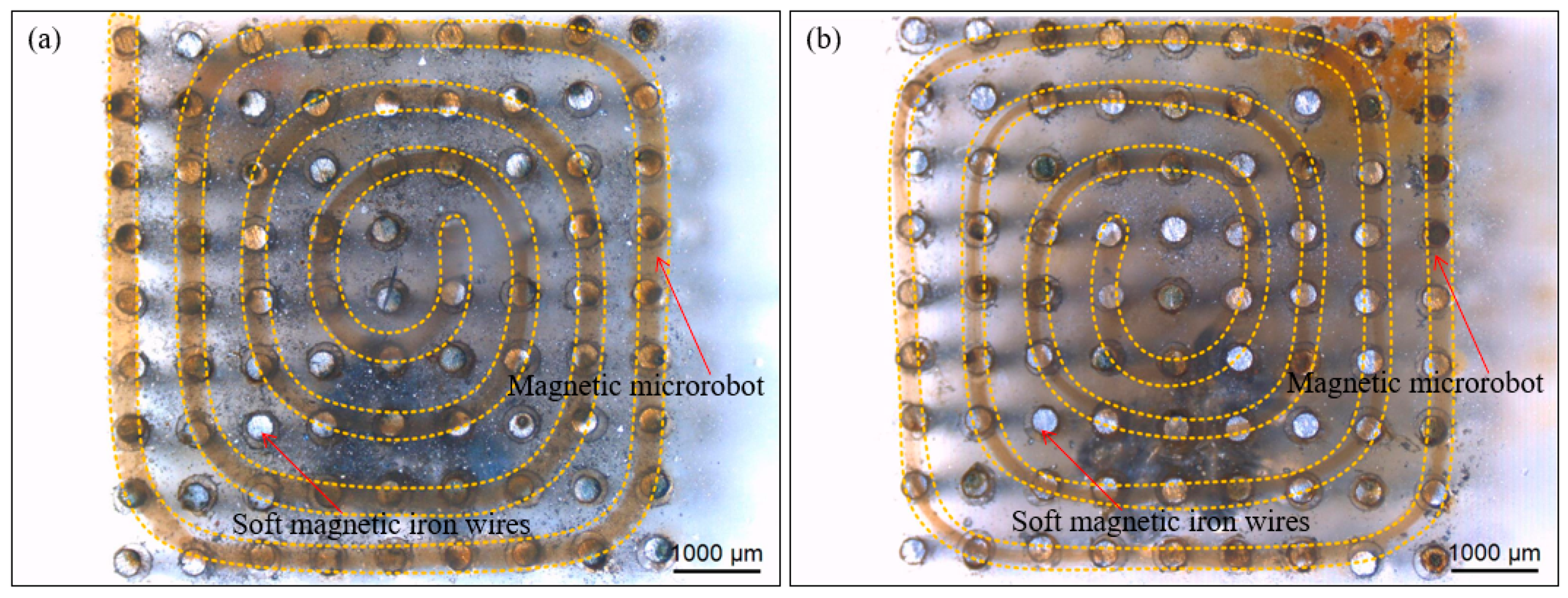 Micromachines 11 00697 g010